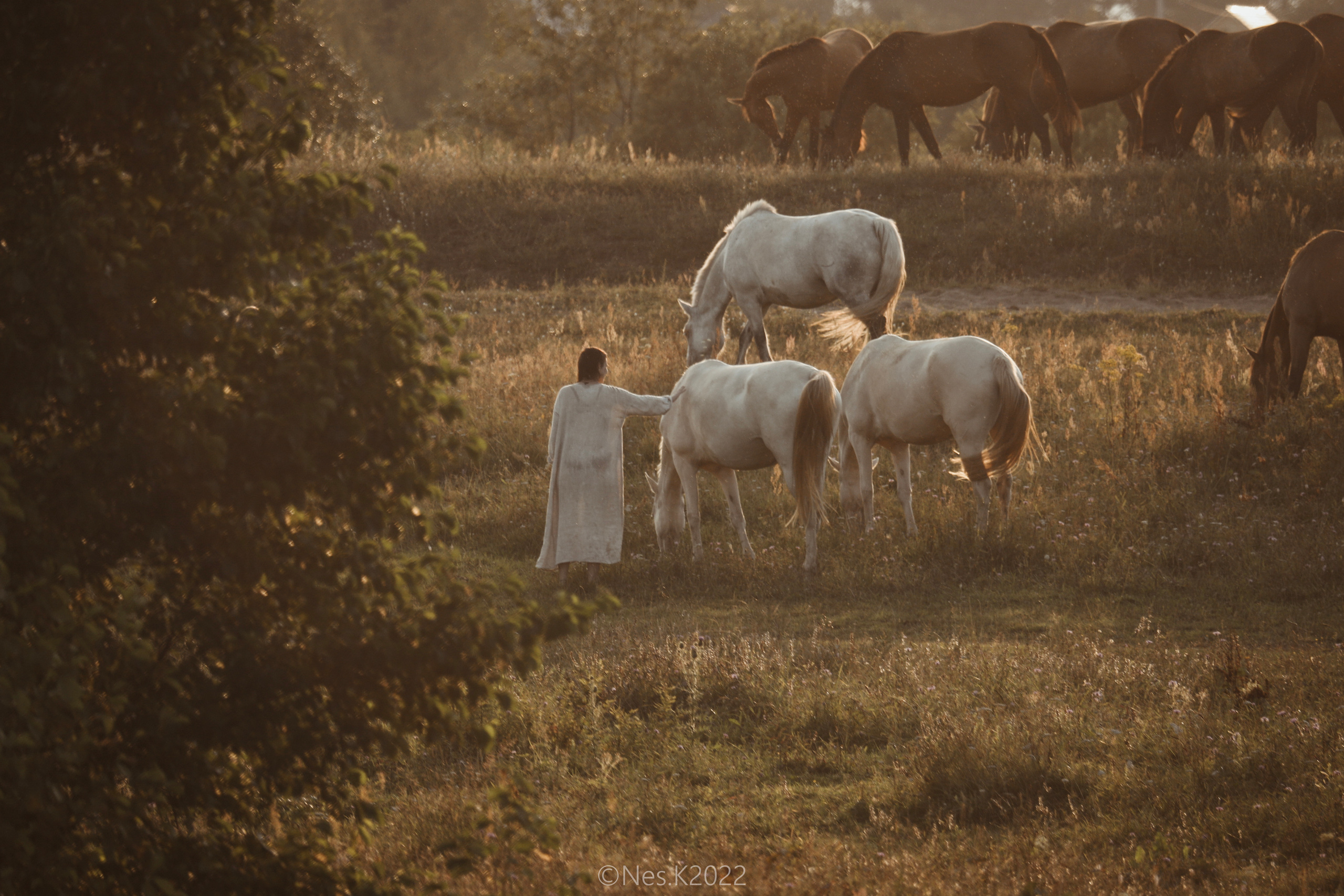 Атмосфера, люди и участники фестиваля. Профессиональный фотограф в Москве и МО