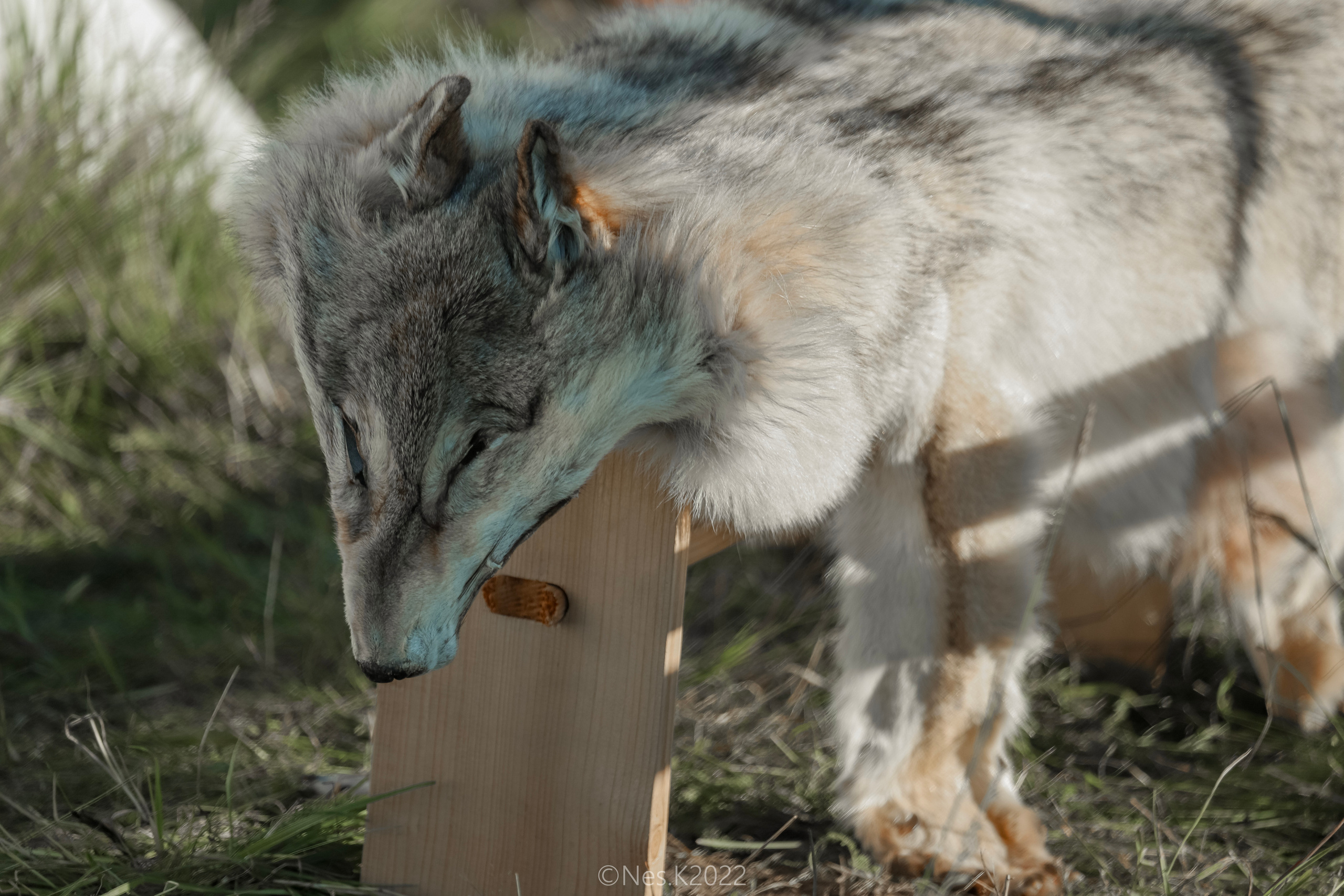 Атмосфера, люди и участники фестиваля. Профессиональный фотограф в Москве и МО
