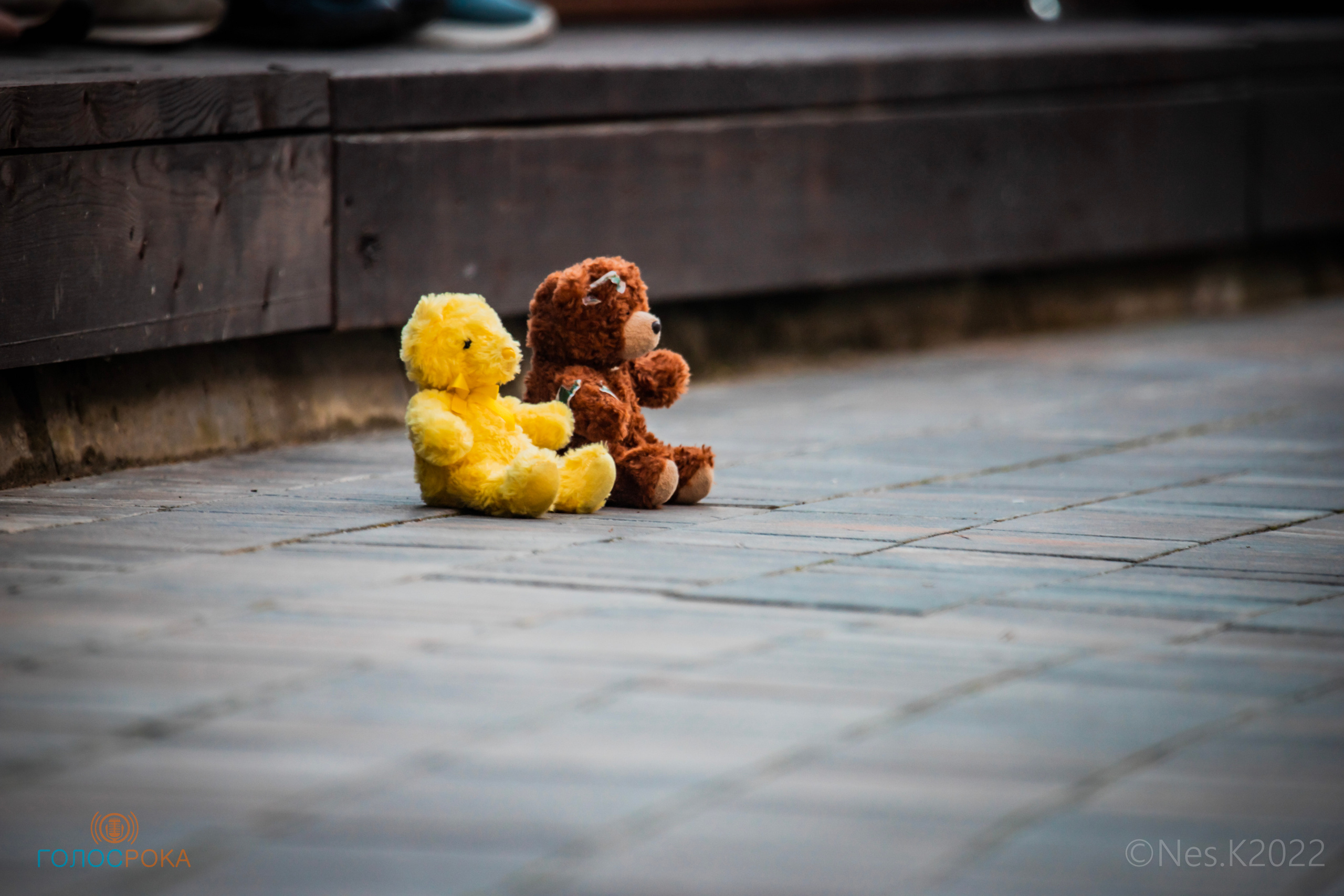 ЧИЖ и Со. Профессиональный фотограф в Москве и МО