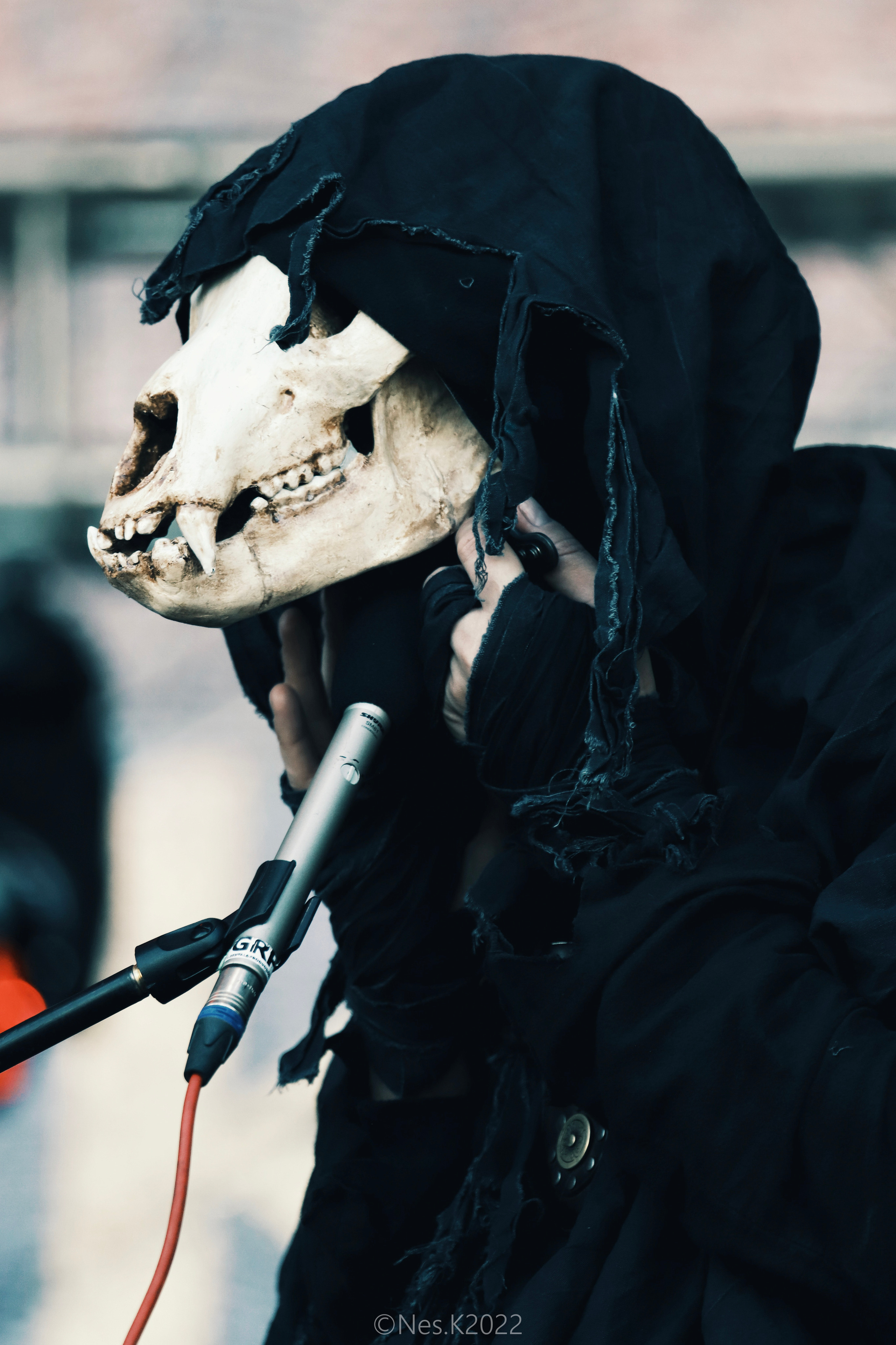 Яруга. Профессиональный фотограф в Москве и МО