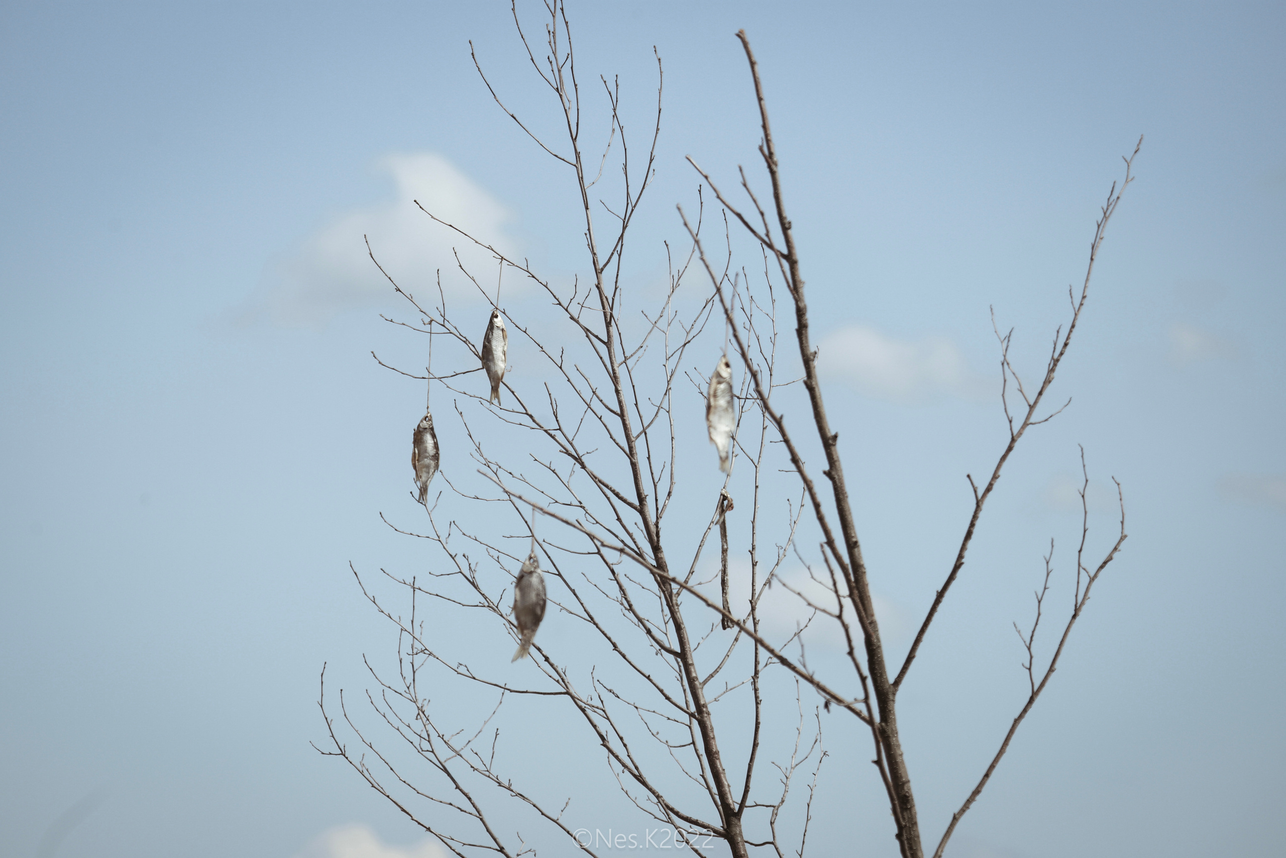 Атмосфера, люди и участники фестиваля. Профессиональный фотограф в Москве и МО