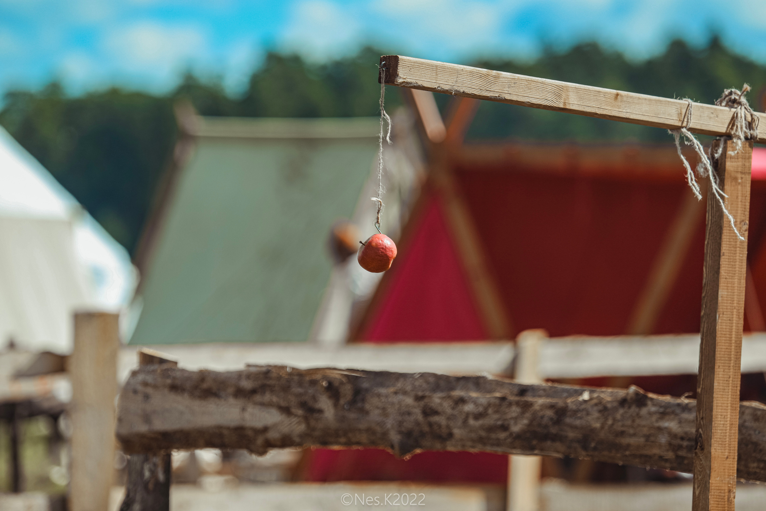 Атмосфера, люди и участники фестиваля. Профессиональный фотограф в Москве и МО