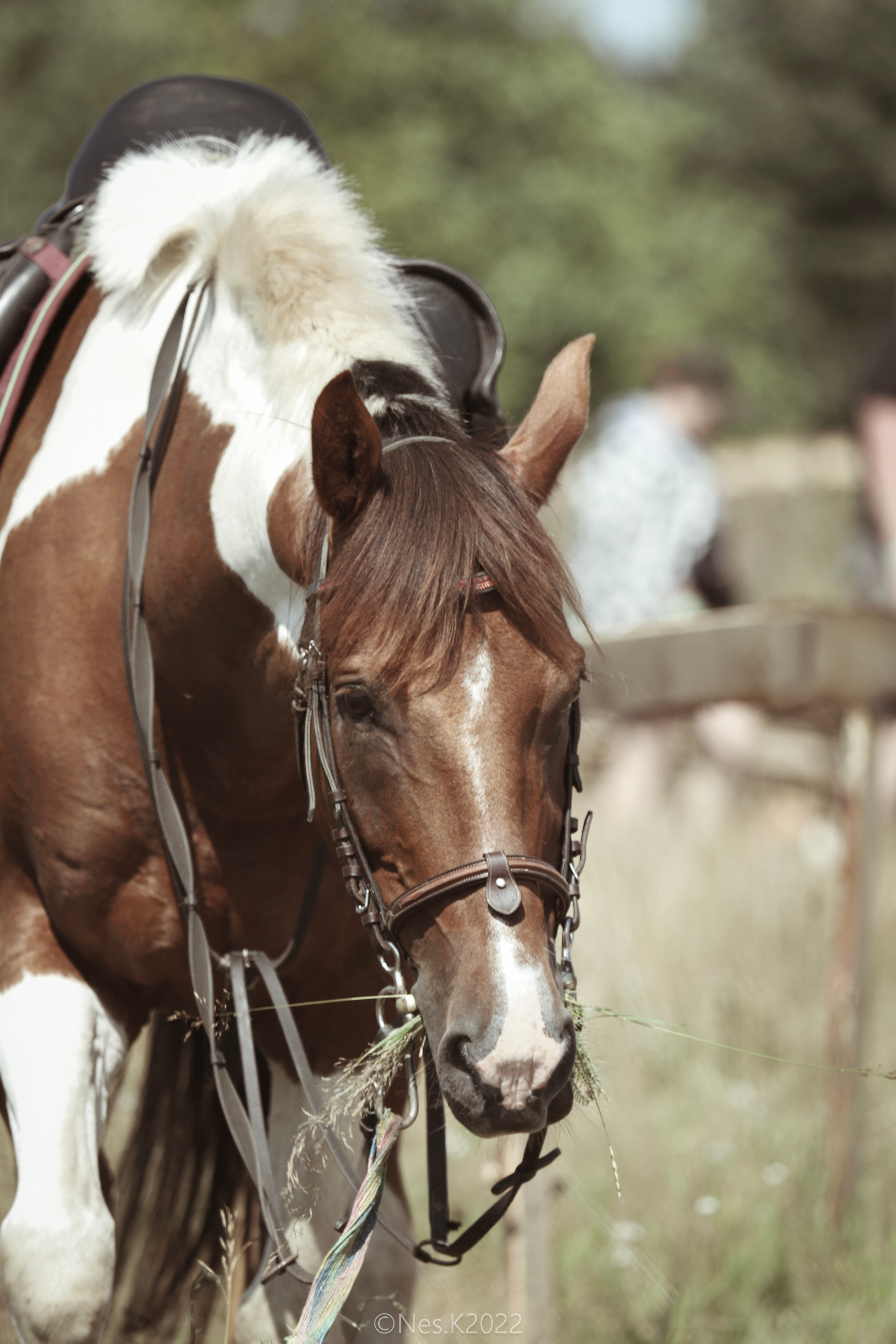Атмосфера, люди и участники фестиваля. Профессиональный фотограф в Москве и МО