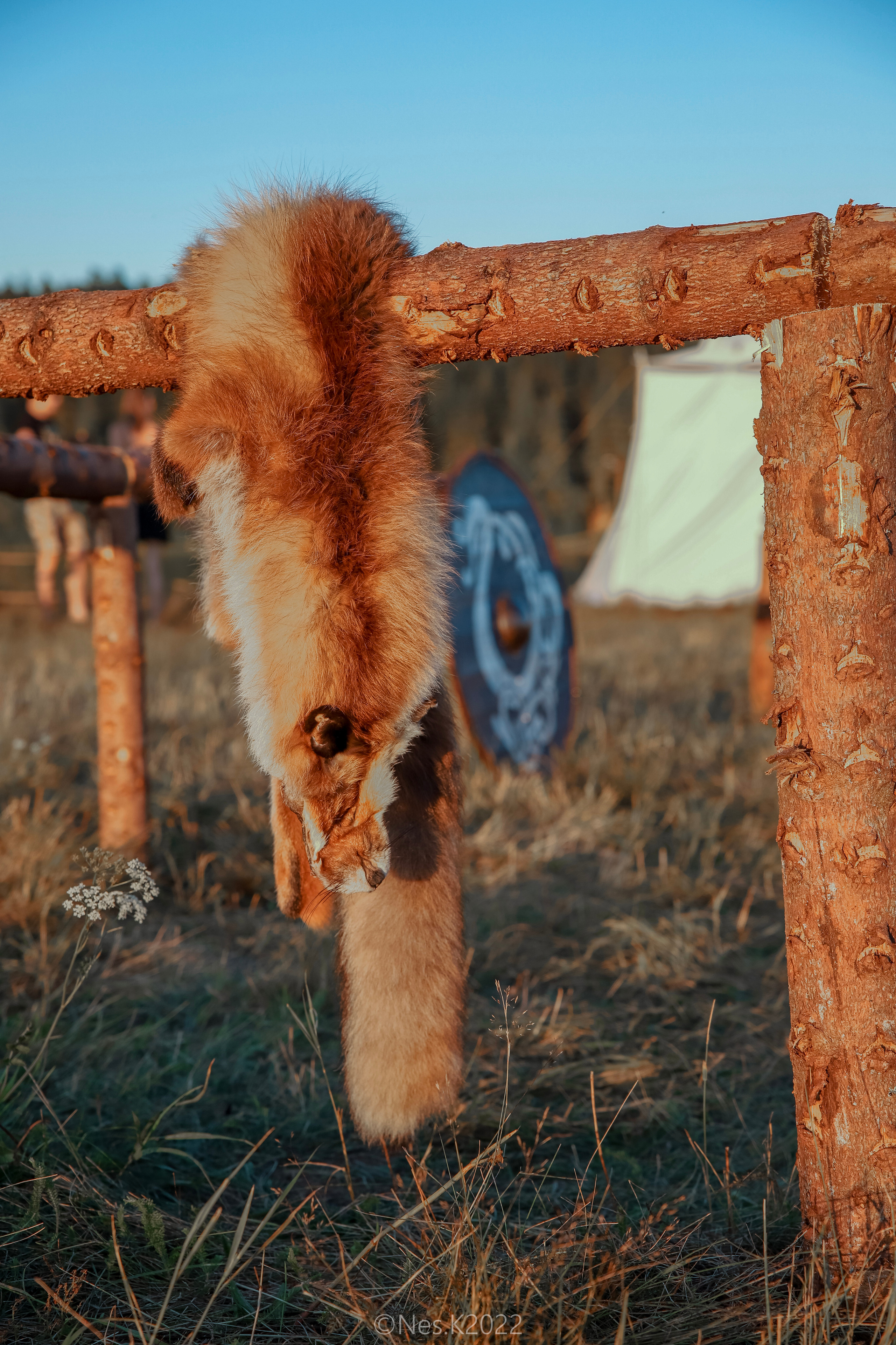 Атмосфера, люди и участники фестиваля. Профессиональный фотограф в Москве и МО