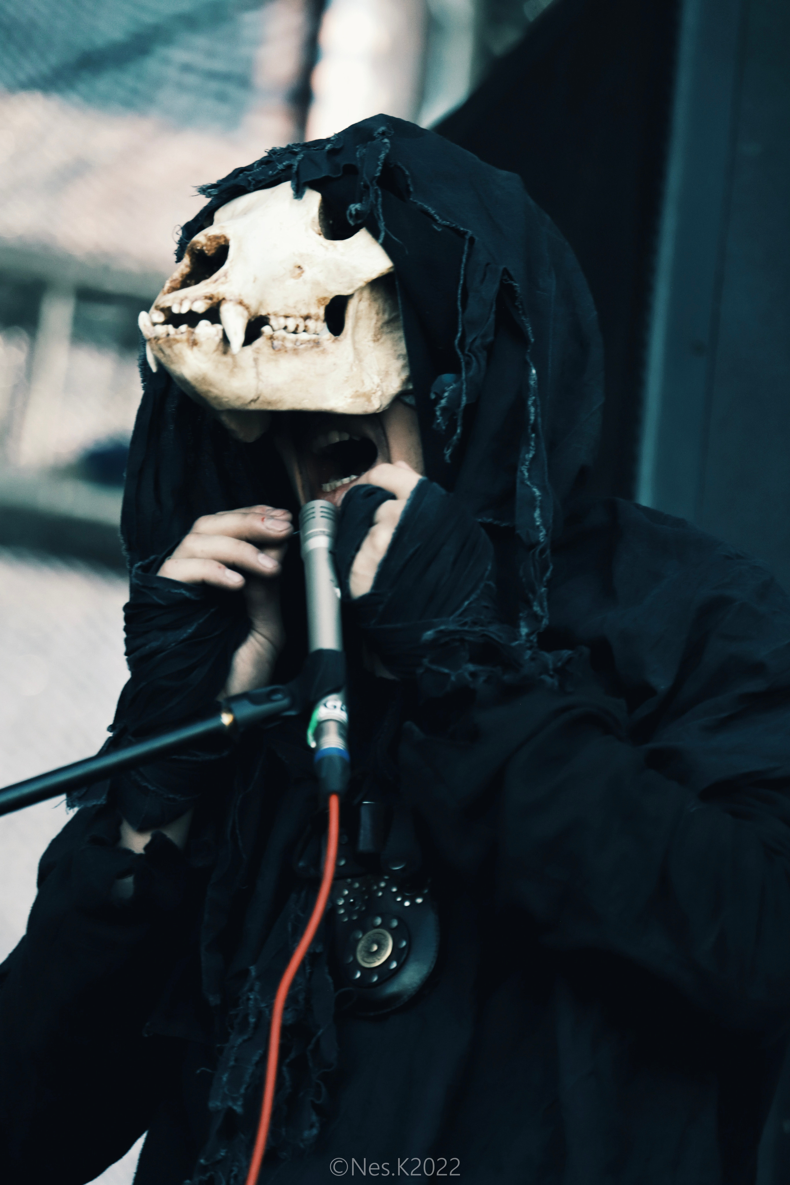 Яруга. Профессиональный фотограф в Москве и МО