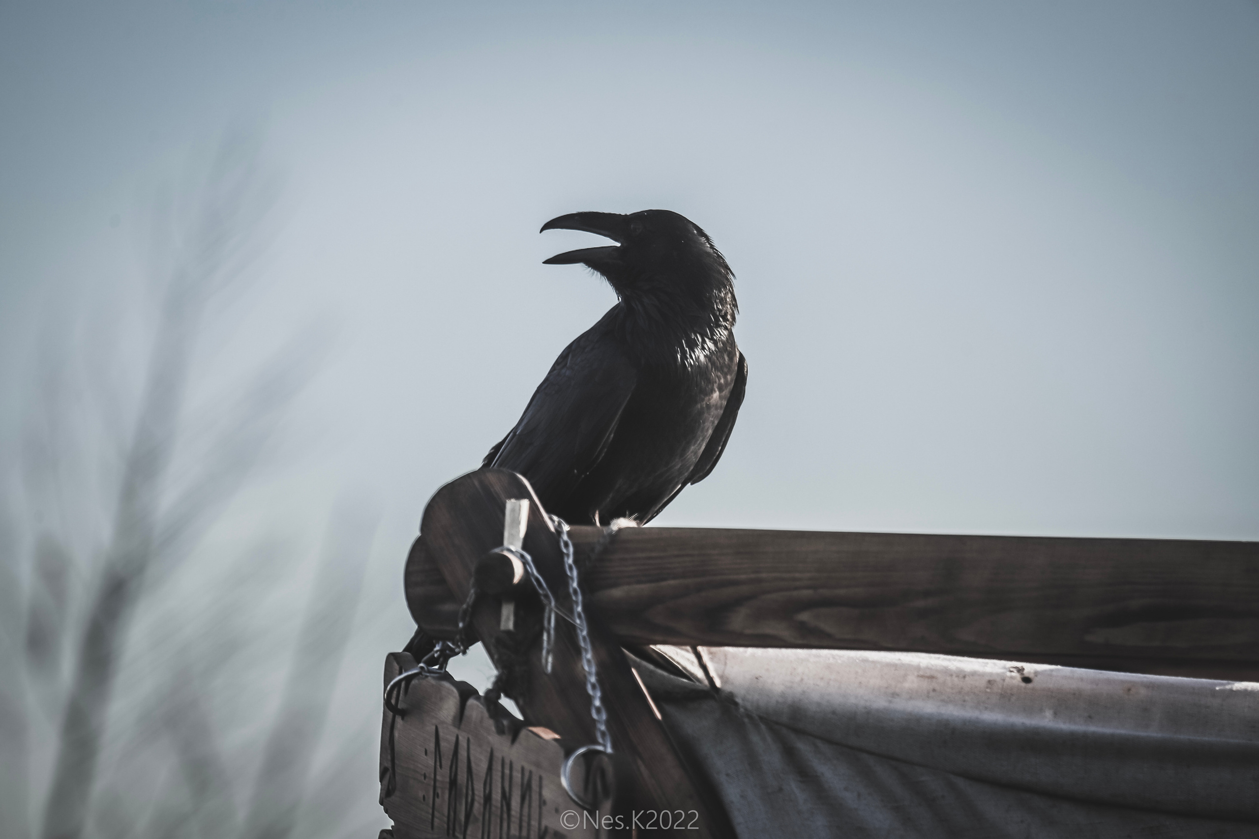 Атмосфера, люди и участники фестиваля. Профессиональный фотограф в Москве и МО