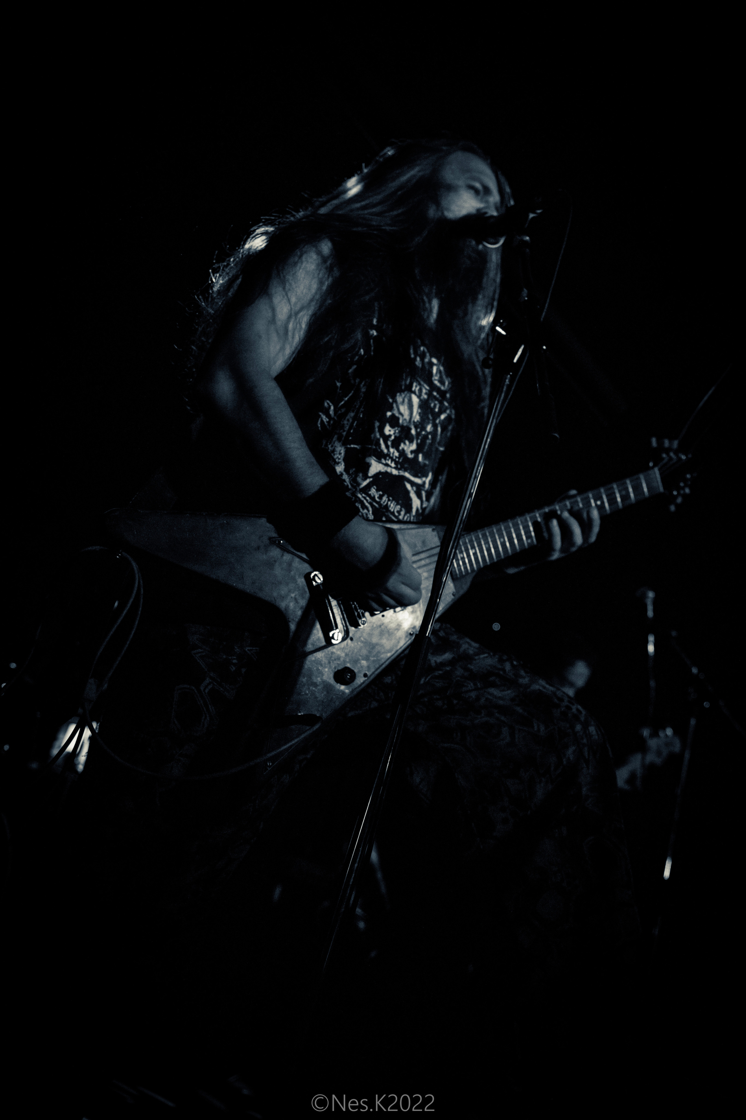 Rossomahaar. Профессиональный фотограф в Москве и МО