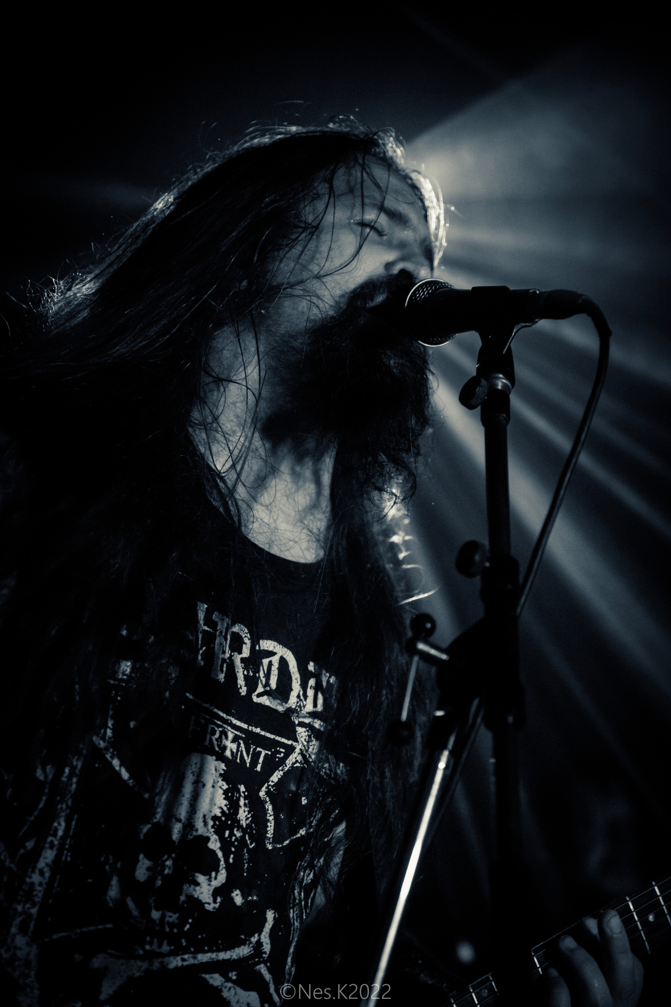 Rossomahaar. Профессиональный фотограф в Москве и МО