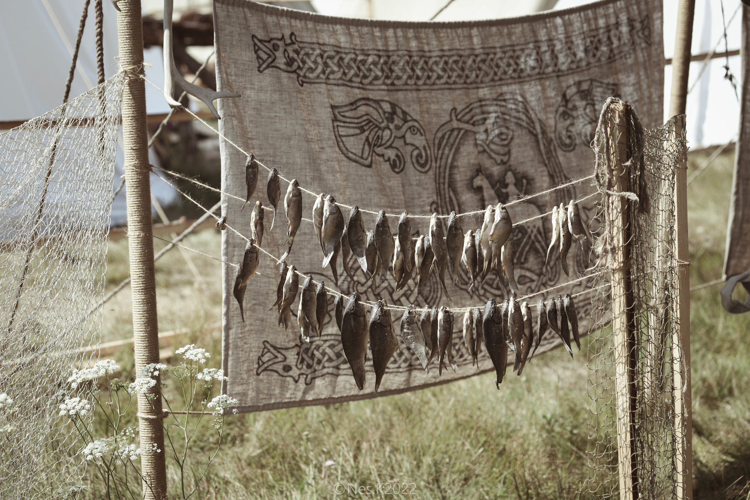 Атмосфера, люди и участники фестиваля. Профессиональный фотограф в Москве и МО