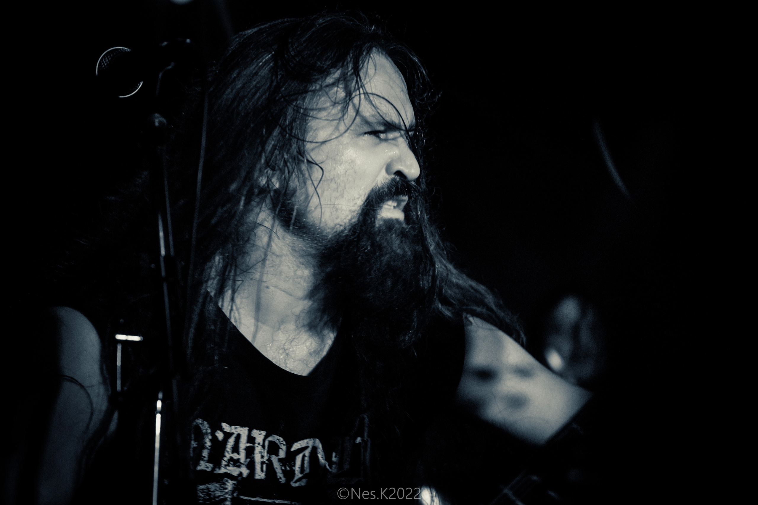 Rossomahaar. Профессиональный фотограф в Москве и МО