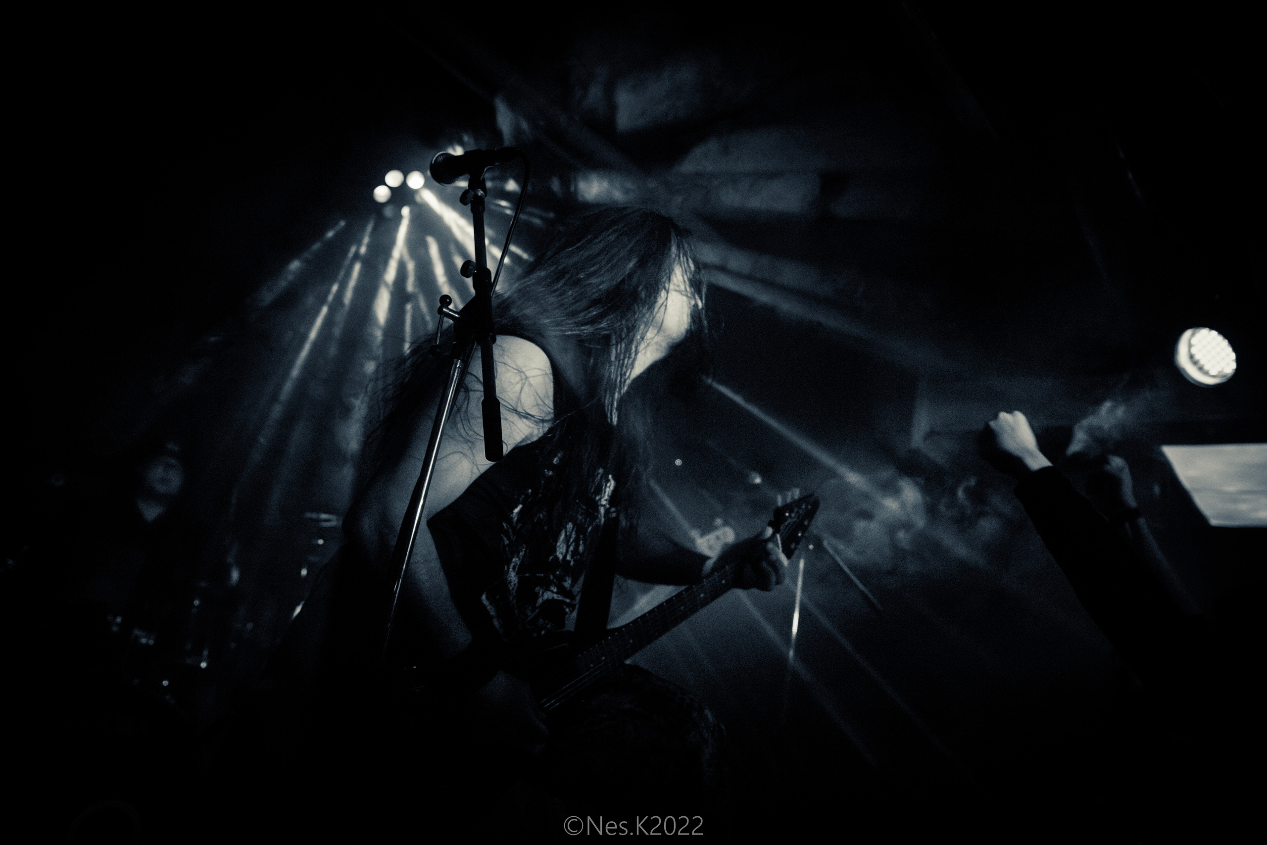 Rossomahaar. Профессиональный фотограф в Москве и МО