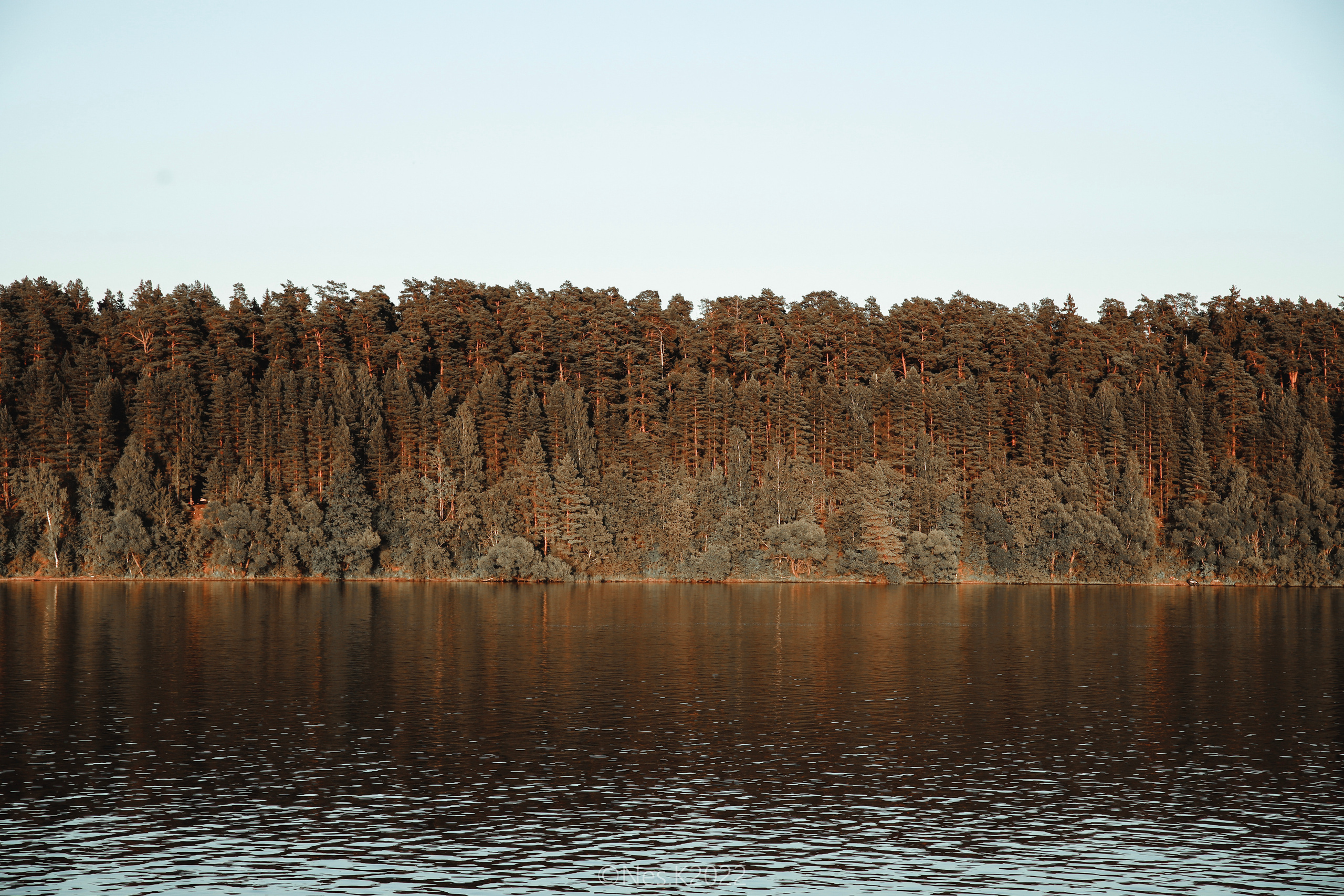 Атмосфера, люди и участники фестиваля. Профессиональный фотограф в Москве и МО