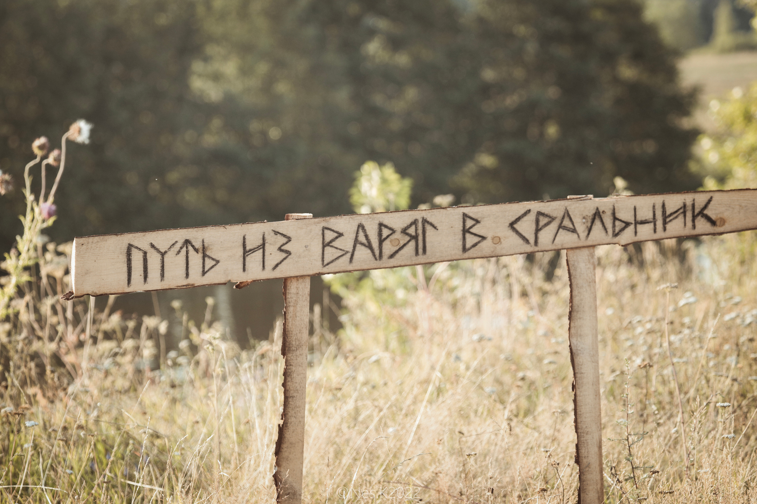 Атмосфера, люди и участники фестиваля. Профессиональный фотограф в Москве и МО