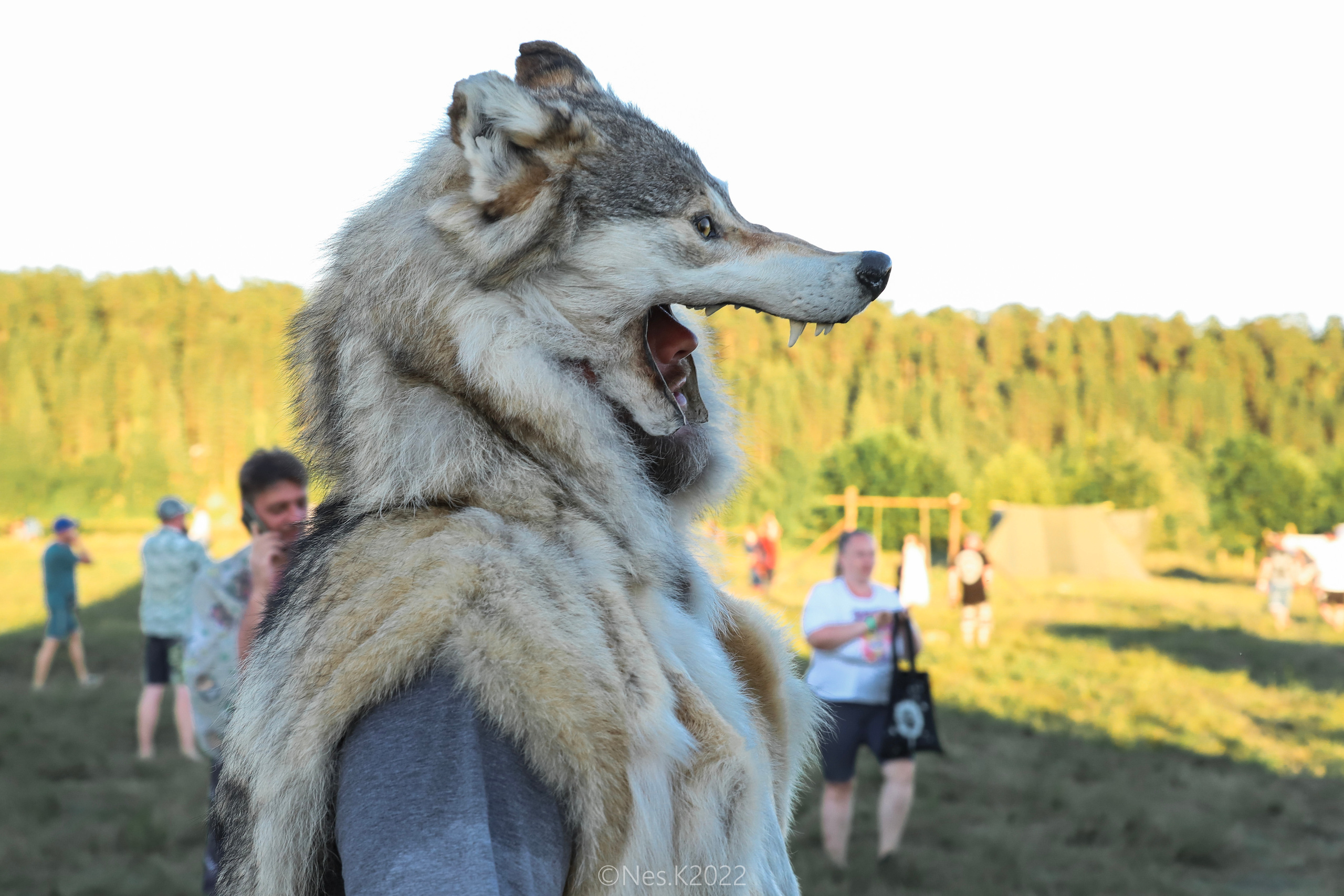 Атмосфера, люди и участники фестиваля. Профессиональный фотограф в Москве и МО