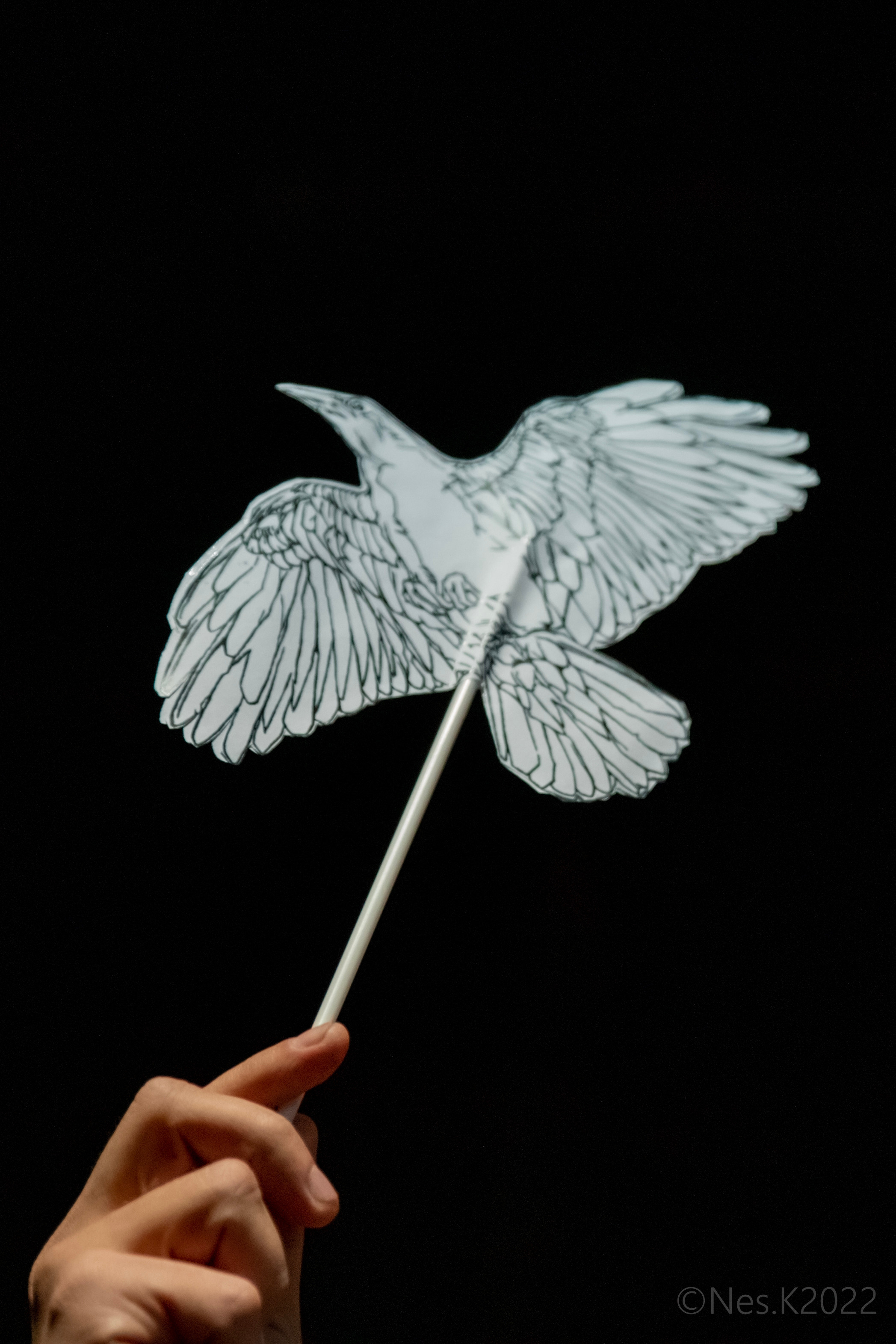 Drummatix. Профессиональный фотограф в Москве и МО