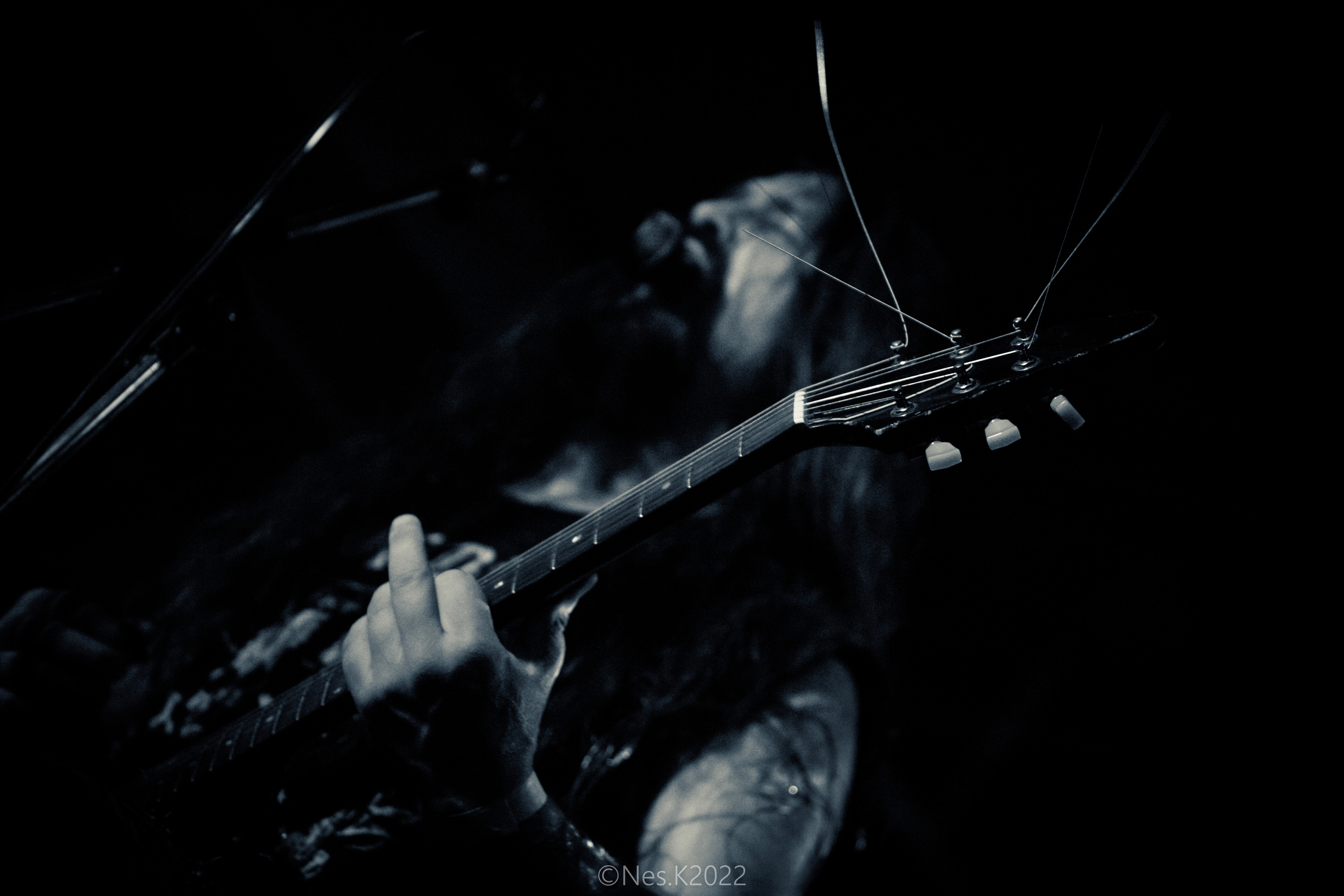 Rossomahaar. Профессиональный фотограф в Москве и МО