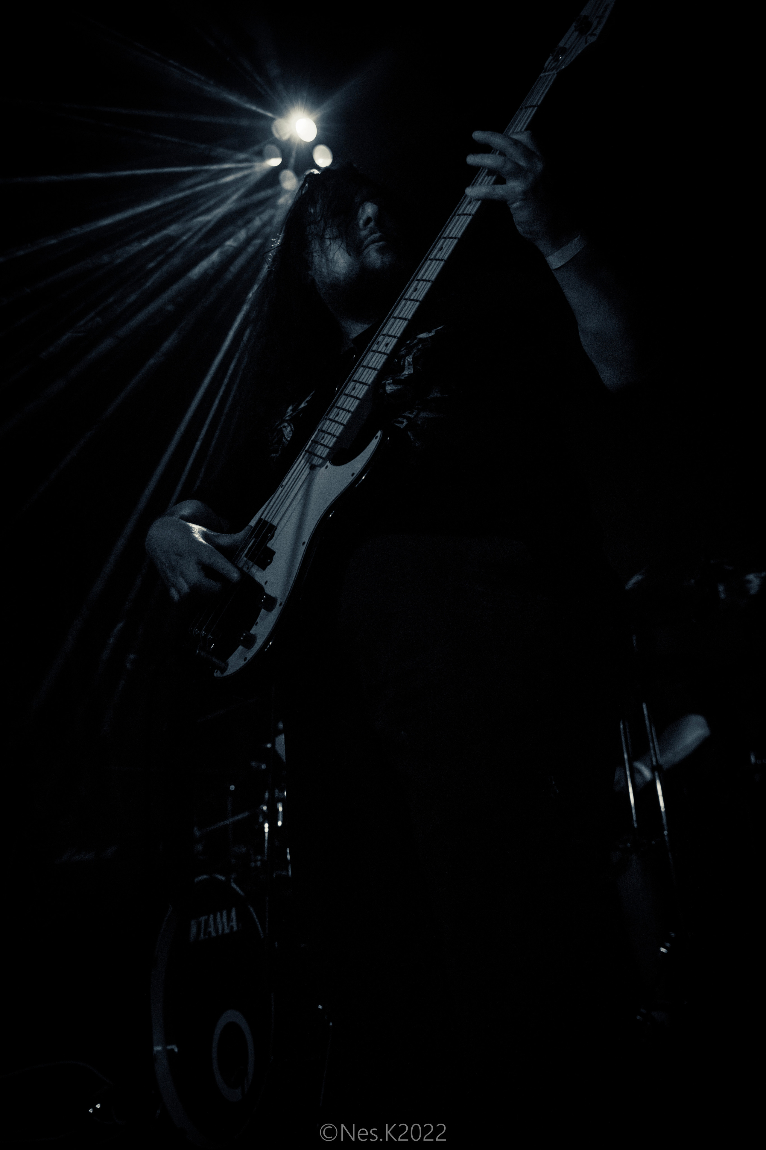 Rossomahaar. Профессиональный фотограф в Москве и МО