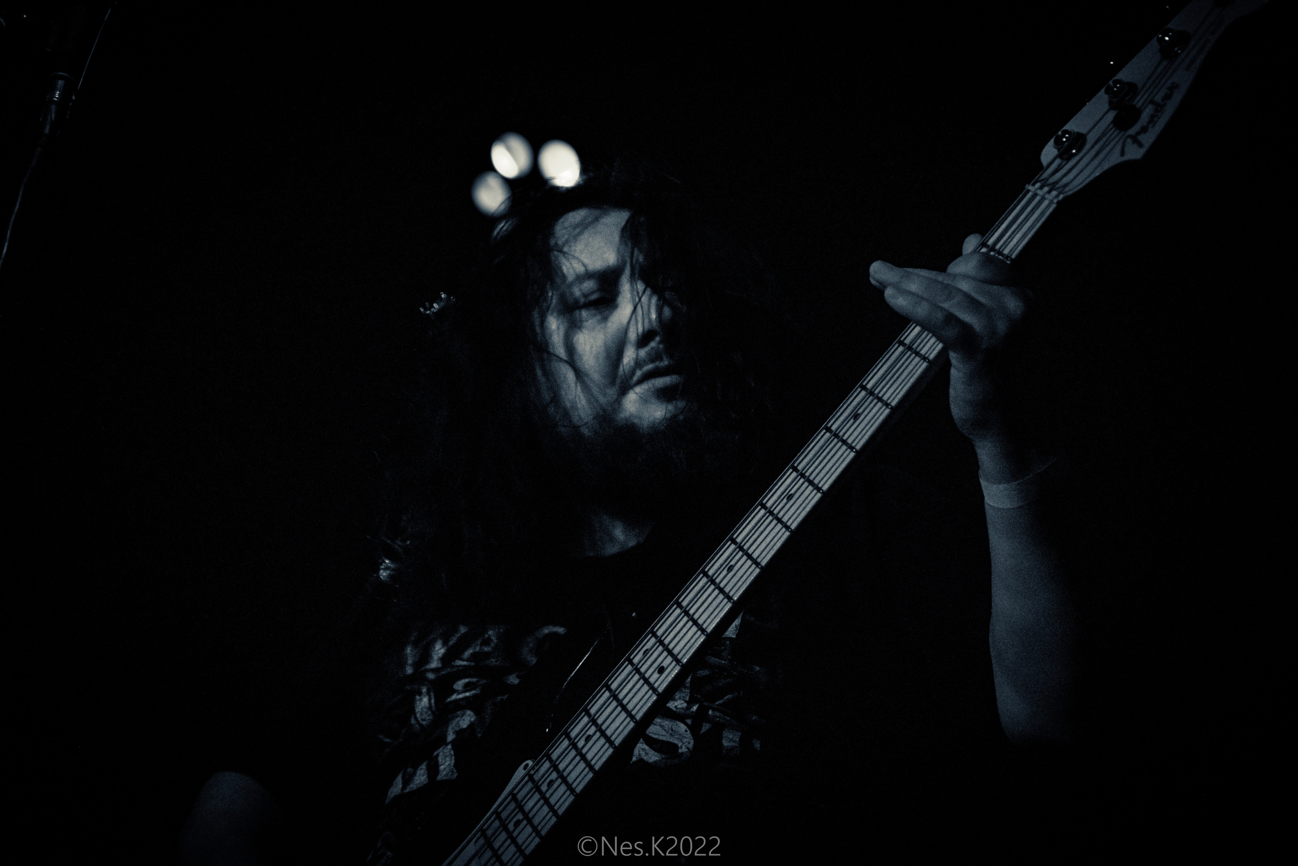 Rossomahaar. Профессиональный фотограф в Москве и МО