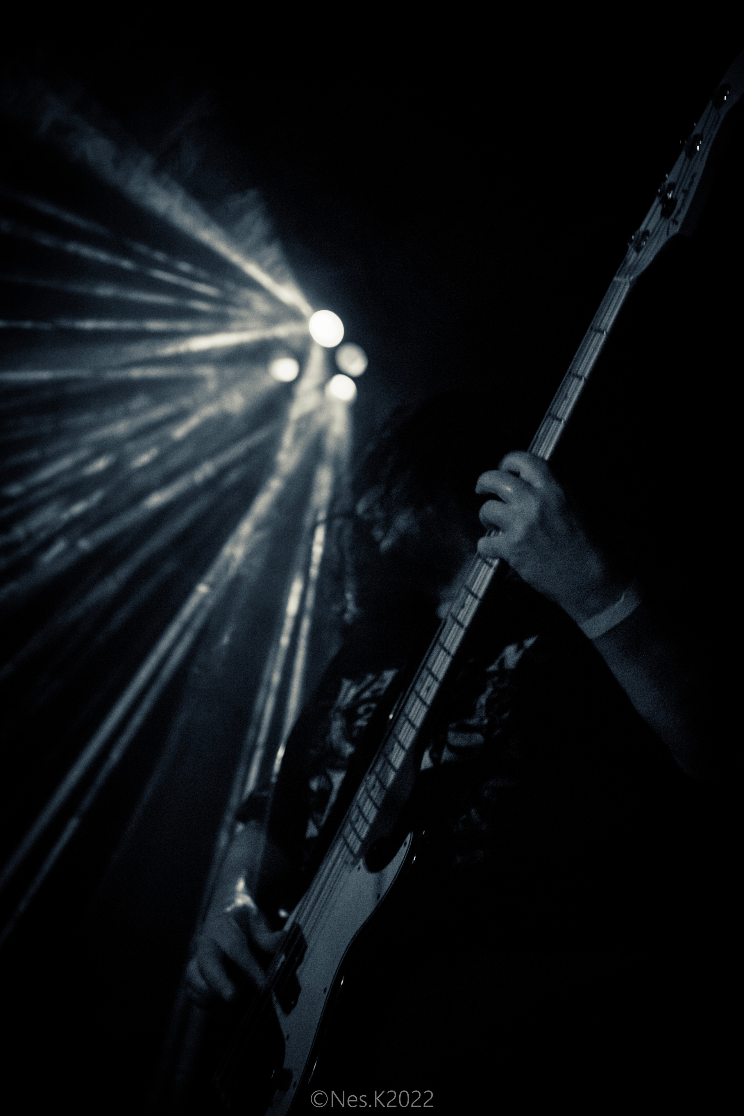 Rossomahaar. Профессиональный фотограф в Москве и МО