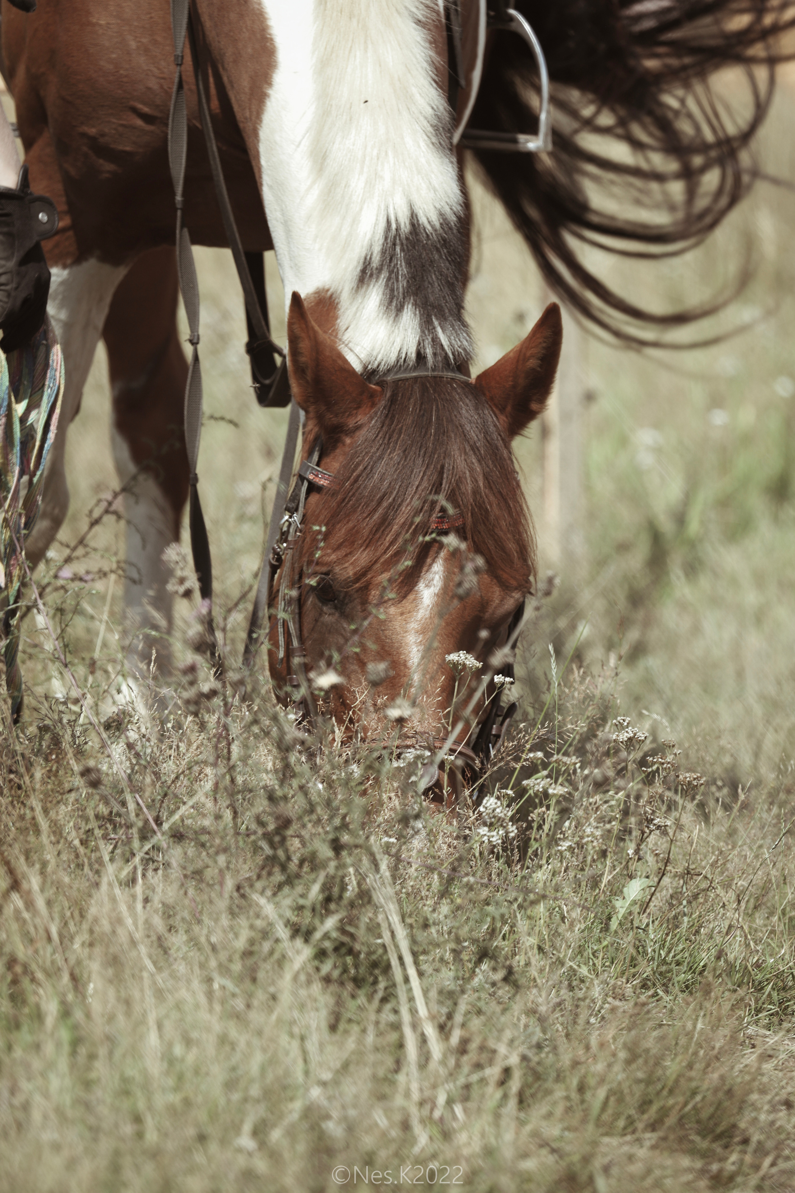 Атмосфера, люди и участники фестиваля. Профессиональный фотограф в Москве и МО