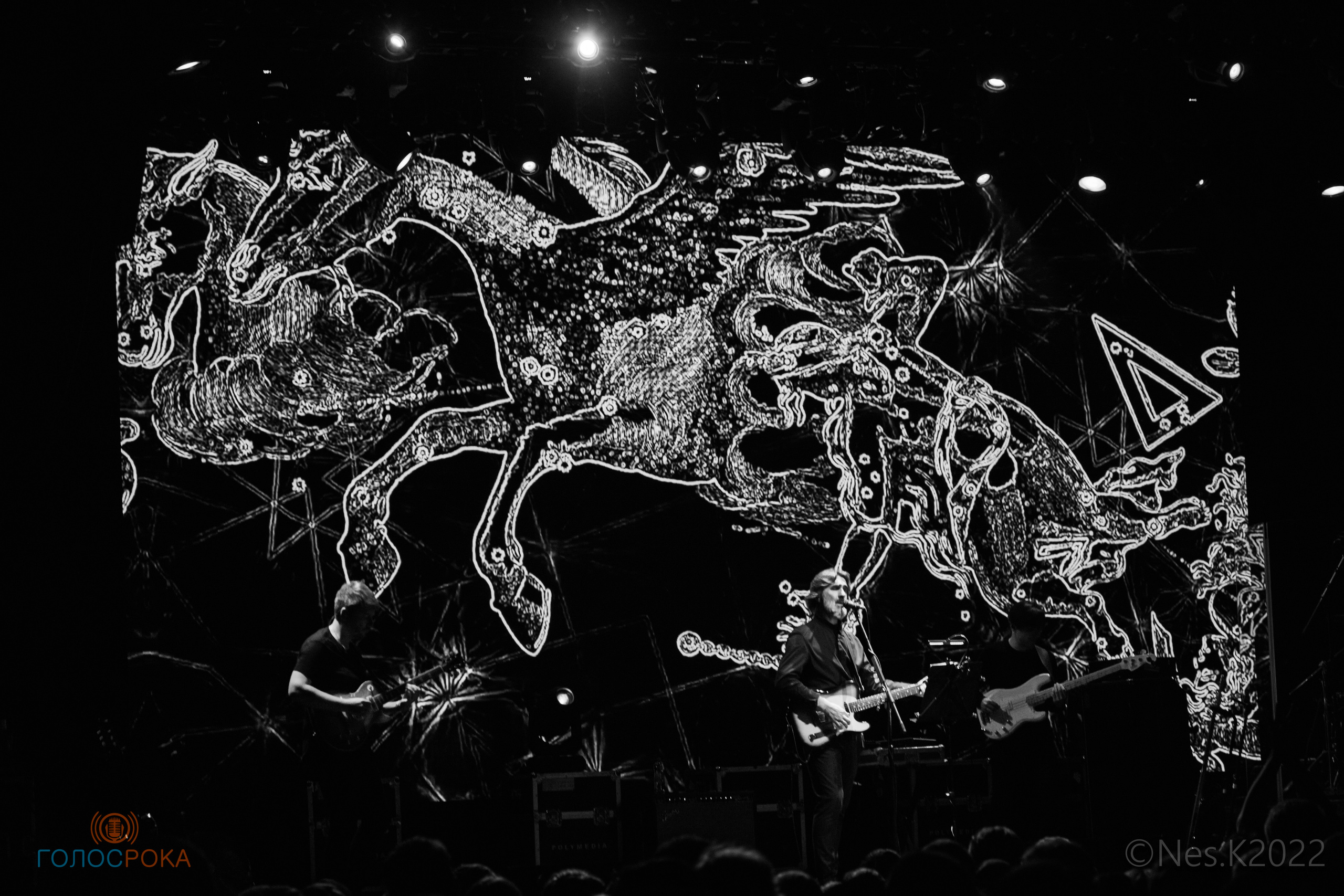 Вячеслав Бутусов. Профессиональный фотограф в Москве и МО