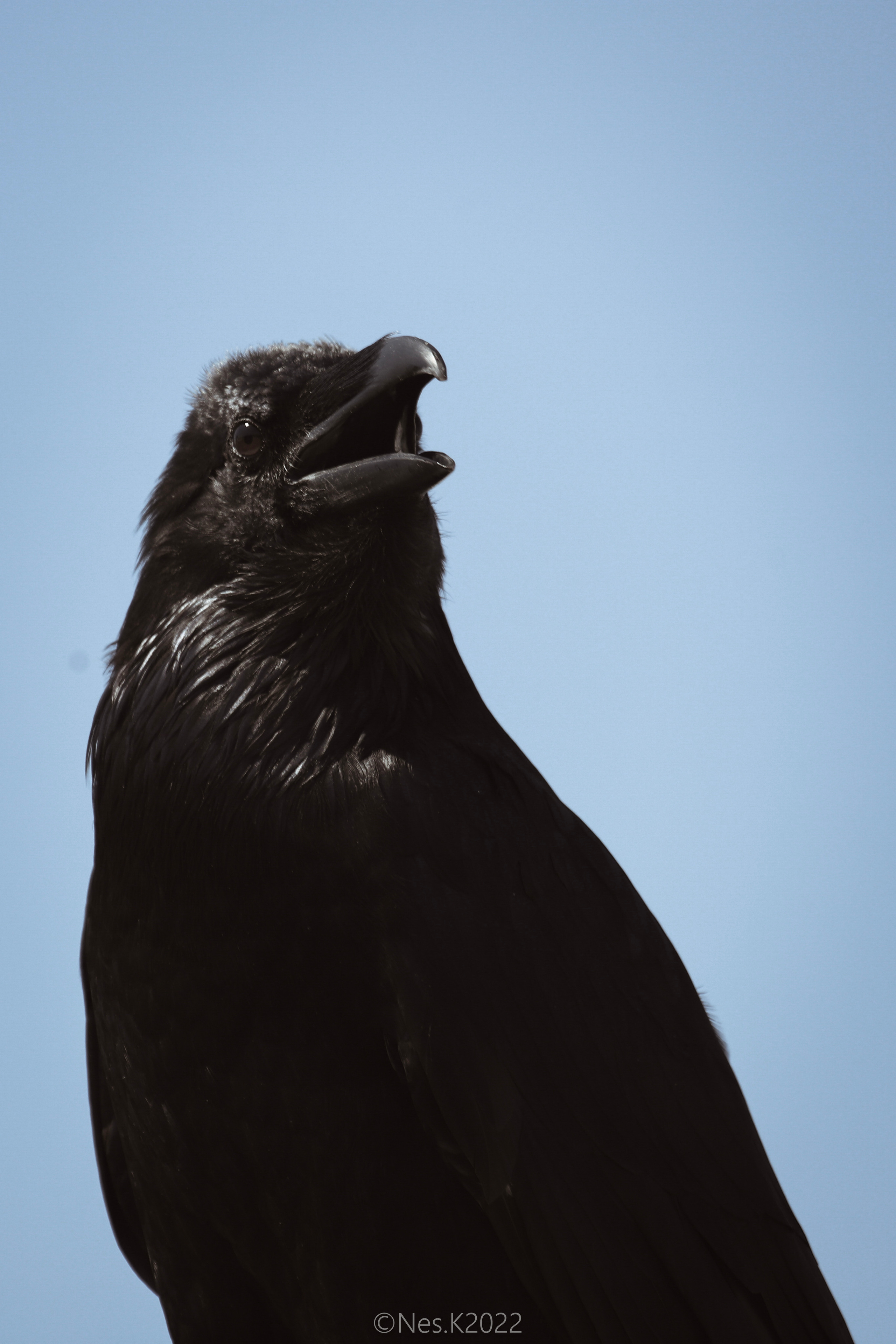 Атмосфера, люди и участники фестиваля. Профессиональный фотограф в Москве и МО