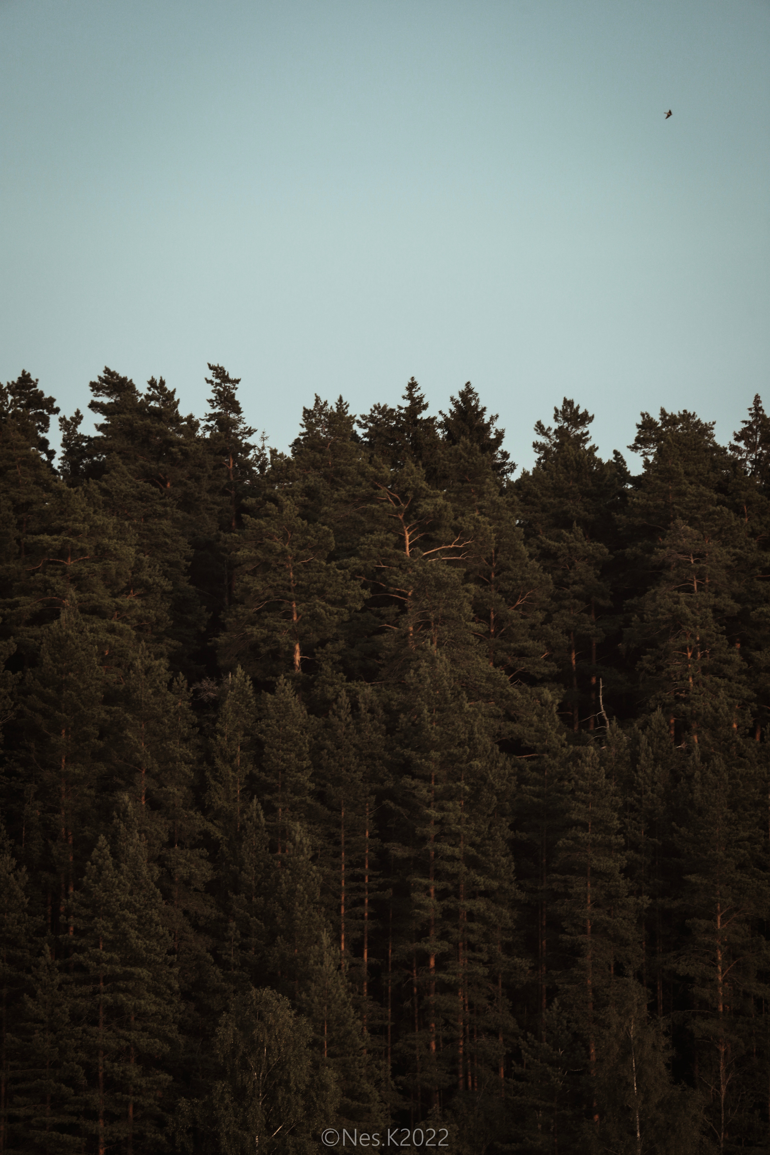 Атмосфера, люди и участники фестиваля. Профессиональный фотограф в Москве и МО