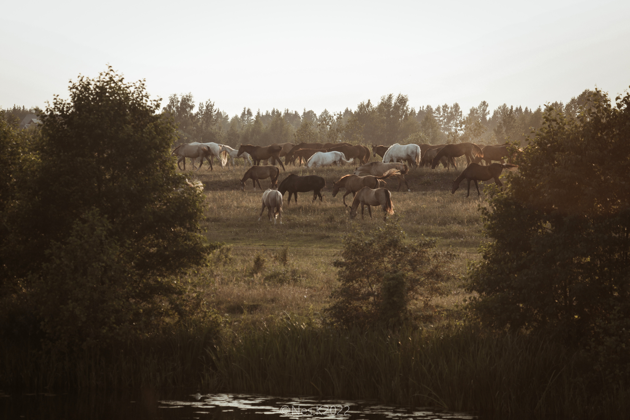 Атмосфера, люди и участники фестиваля. Профессиональный фотограф в Москве и МО