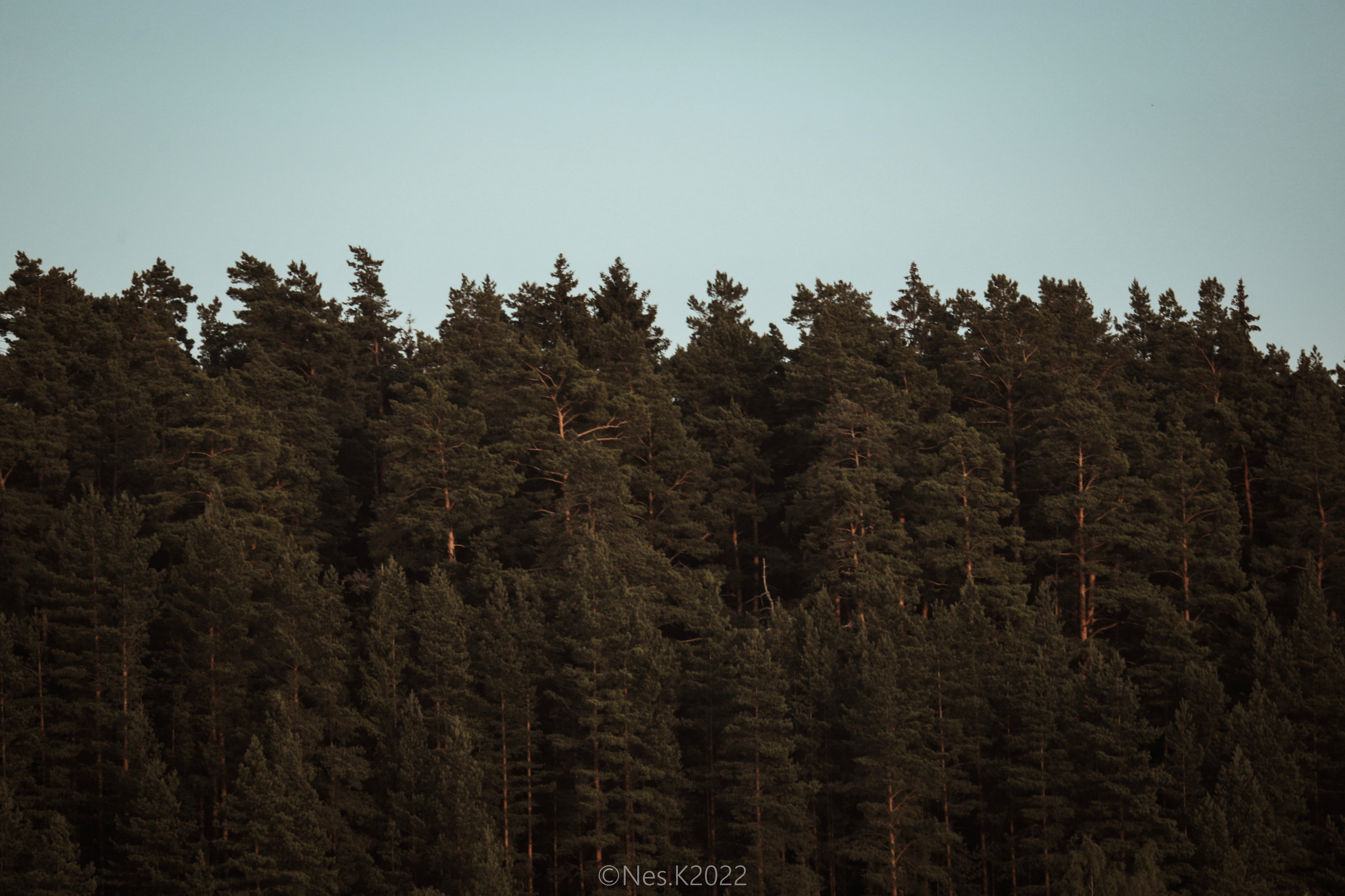 Атмосфера, люди и участники фестиваля. Профессиональный фотограф в Москве и МО