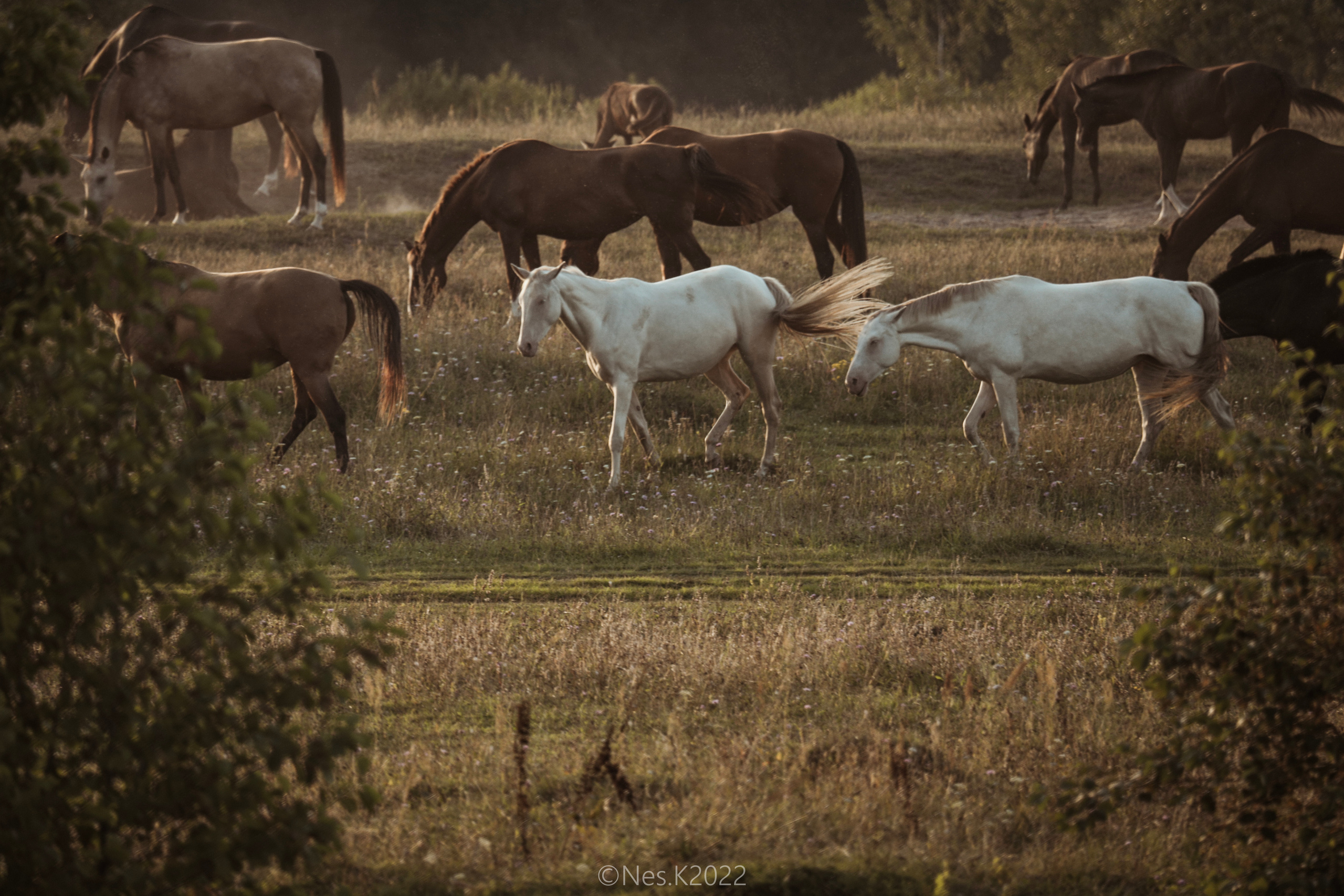 Атмосфера, люди и участники фестиваля. Профессиональный фотограф в Москве и МО