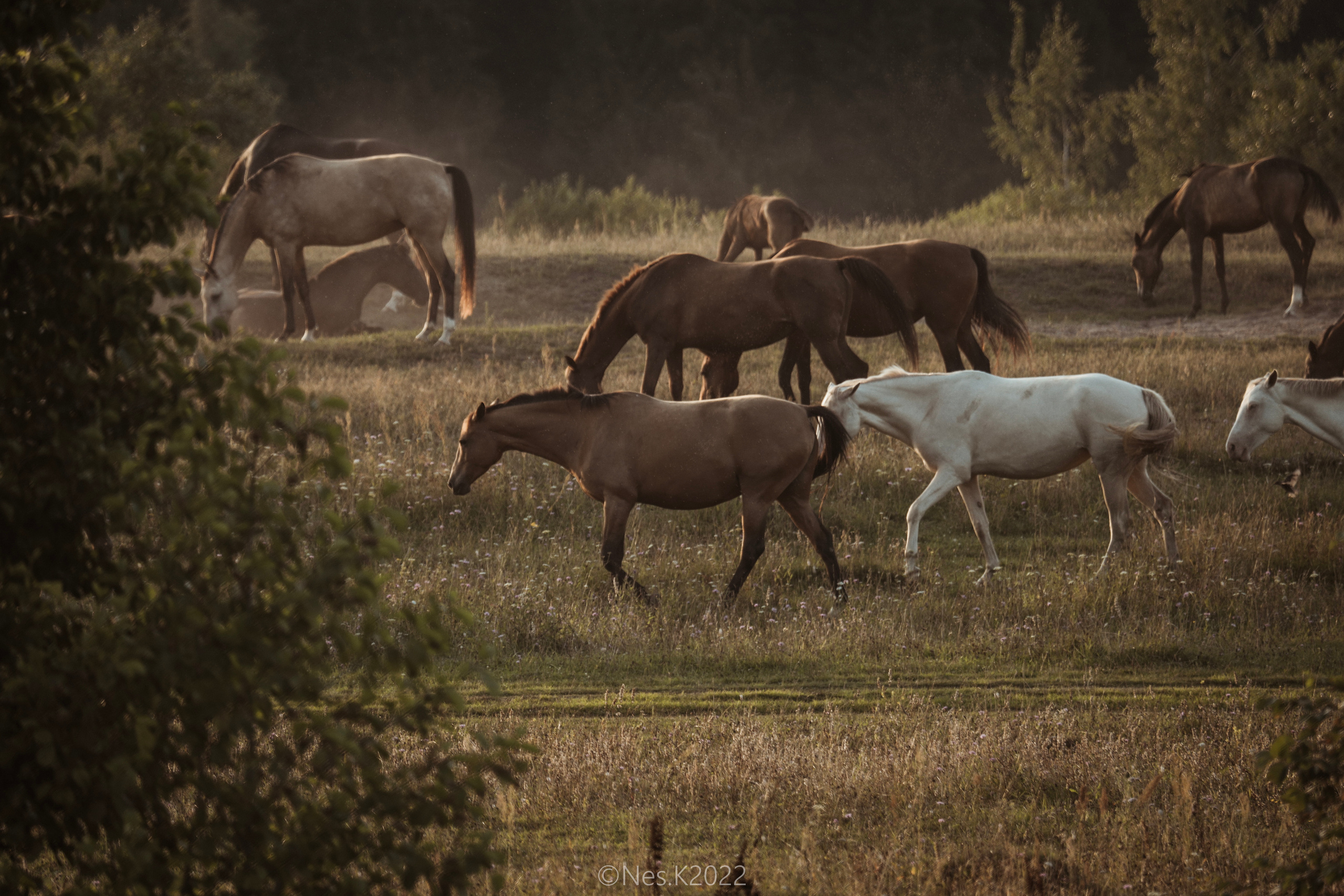 Атмосфера, люди и участники фестиваля. Профессиональный фотограф в Москве и МО