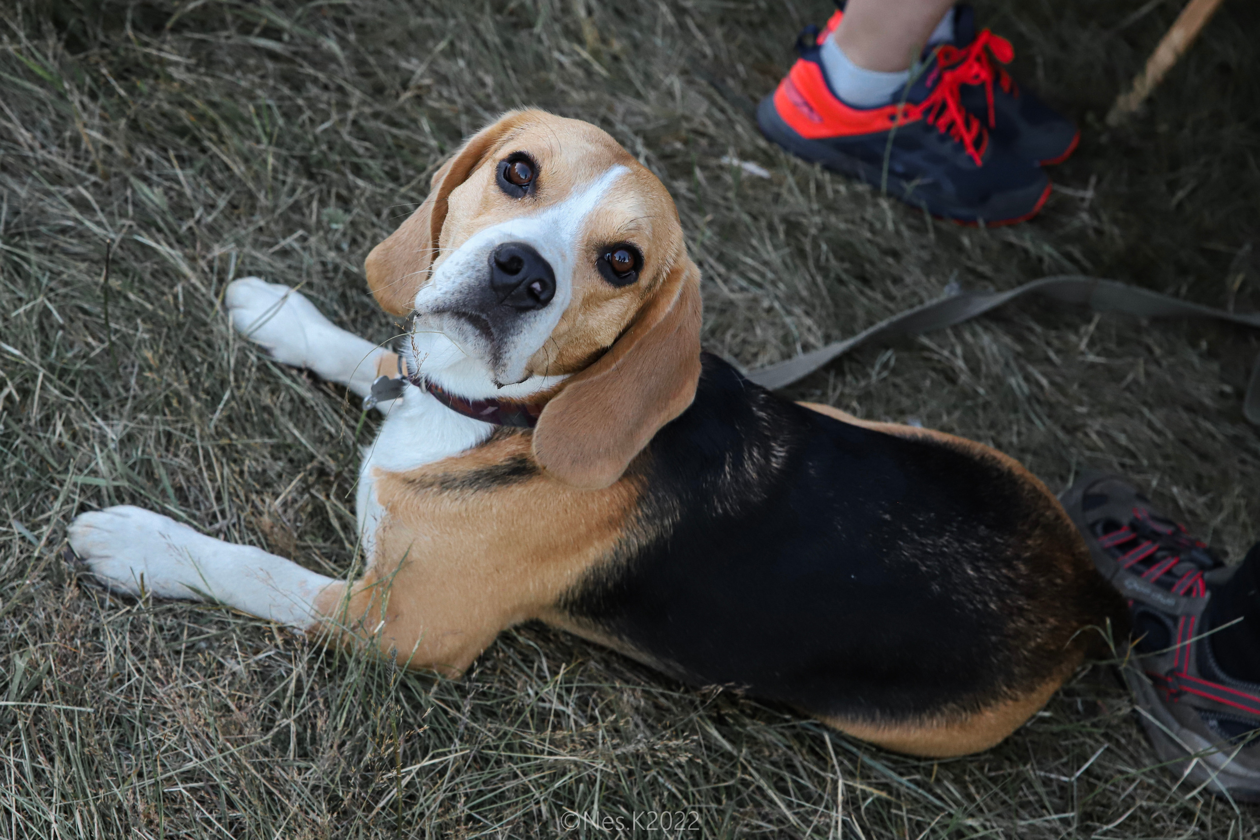 Атмосфера, люди и участники фестиваля. Профессиональный фотограф в Москве и МО