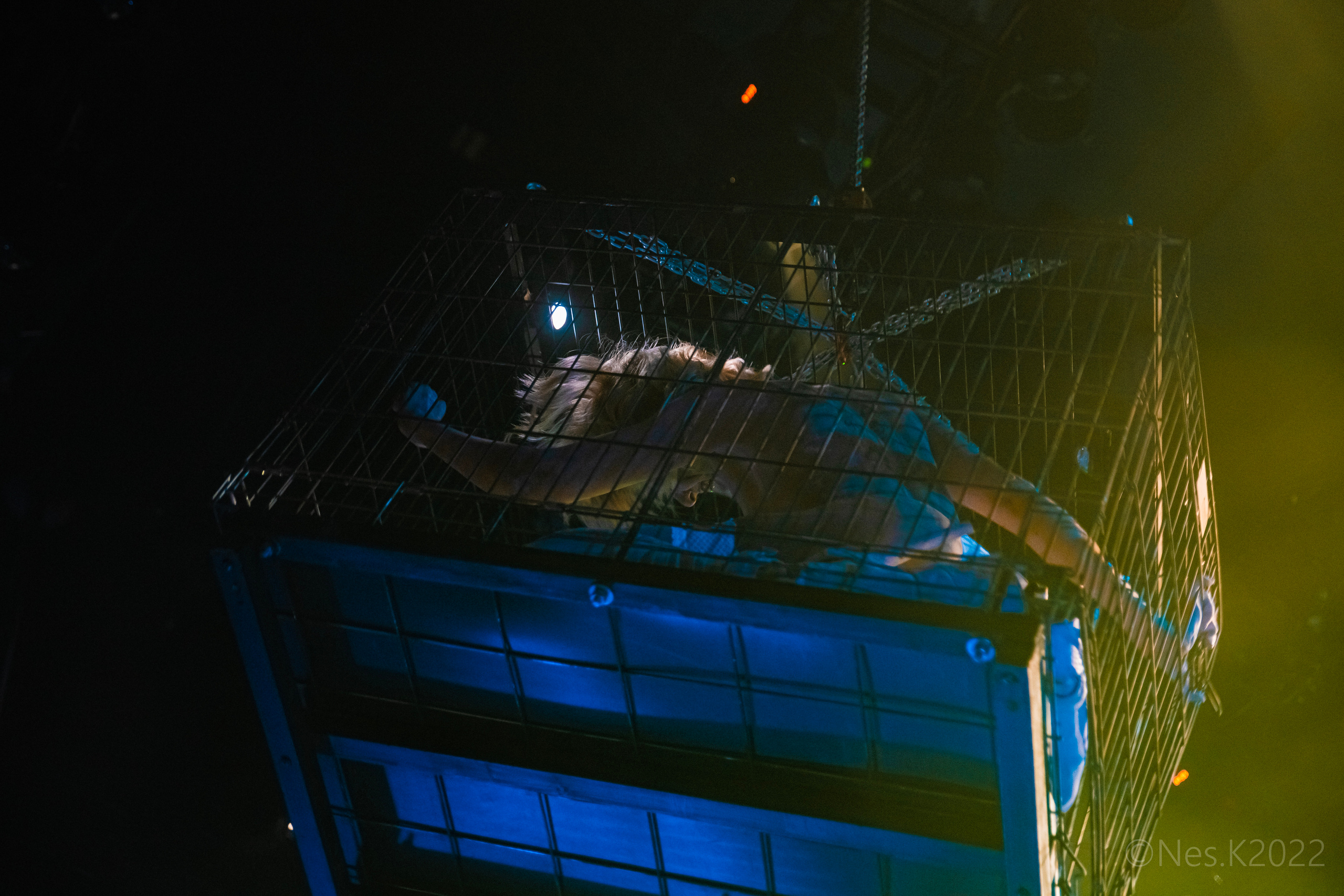 BIOPSYHOZ. Профессиональный фотограф в Москве и МО