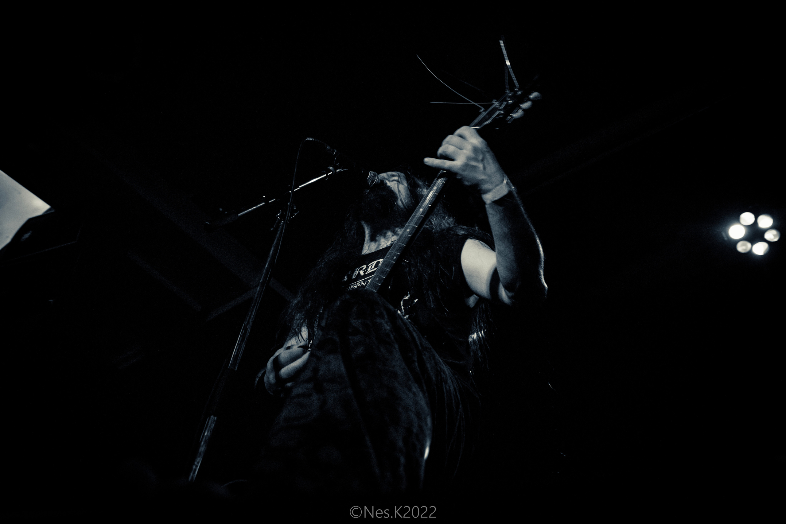 Rossomahaar. Профессиональный фотограф в Москве и МО