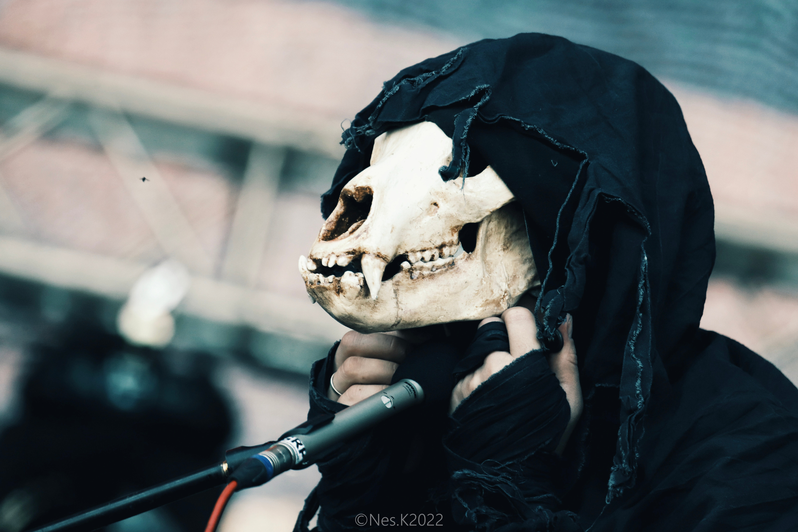 Яруга. Профессиональный фотограф в Москве и МО