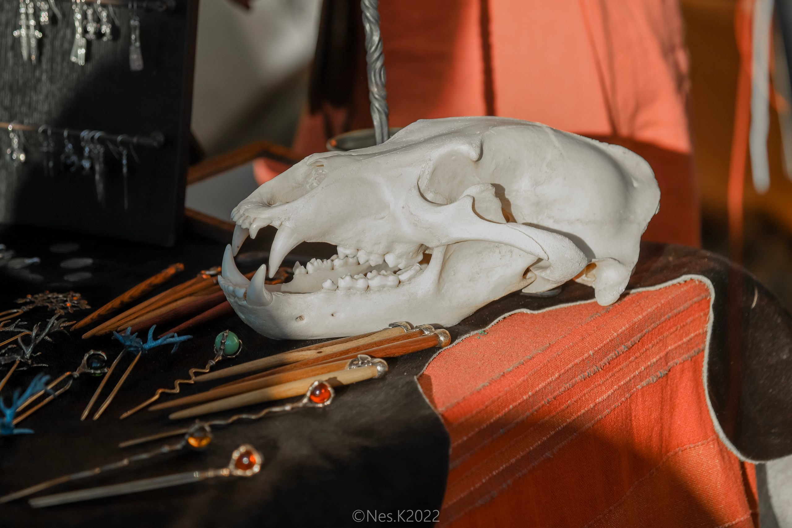 Атмосфера, люди и участники фестиваля. Профессиональный фотограф в Москве и МО