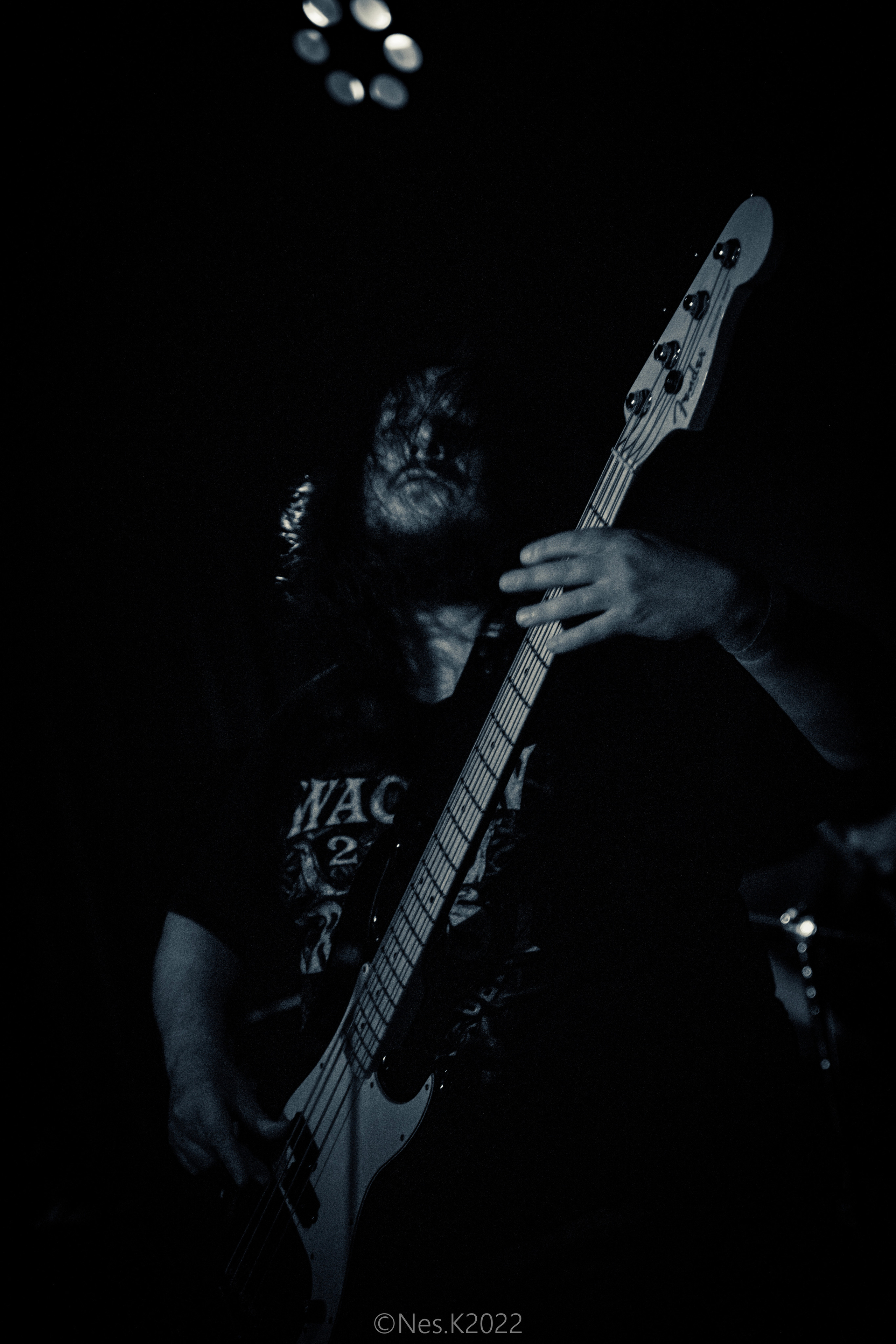 Rossomahaar. Профессиональный фотограф в Москве и МО