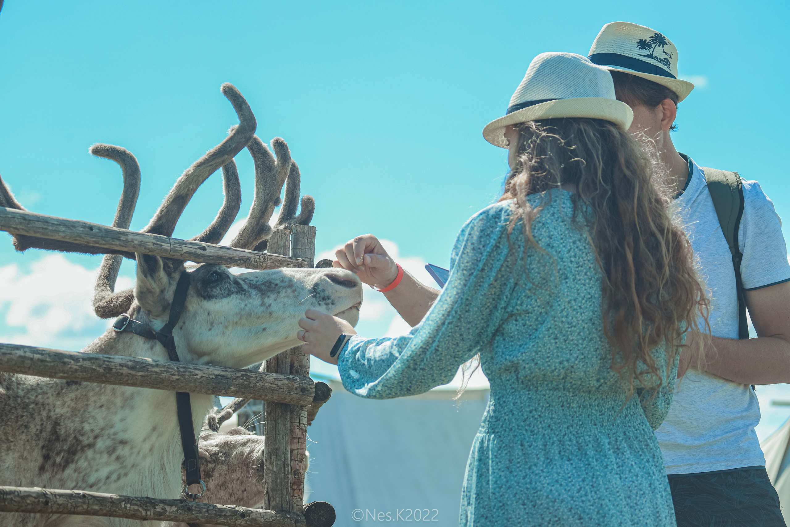 Атмосфера, люди и участники фестиваля. Профессиональный фотограф в Москве и МО