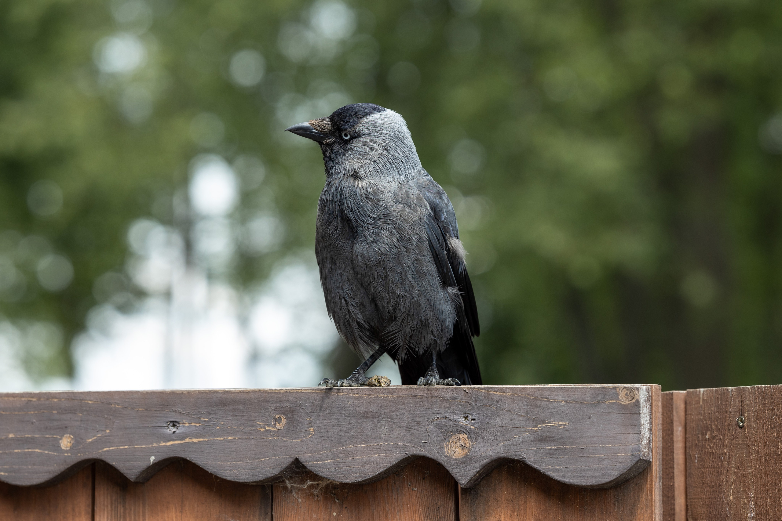 Природные пейзажи. Наталия Клевинскас портретный фотограф в Костроме