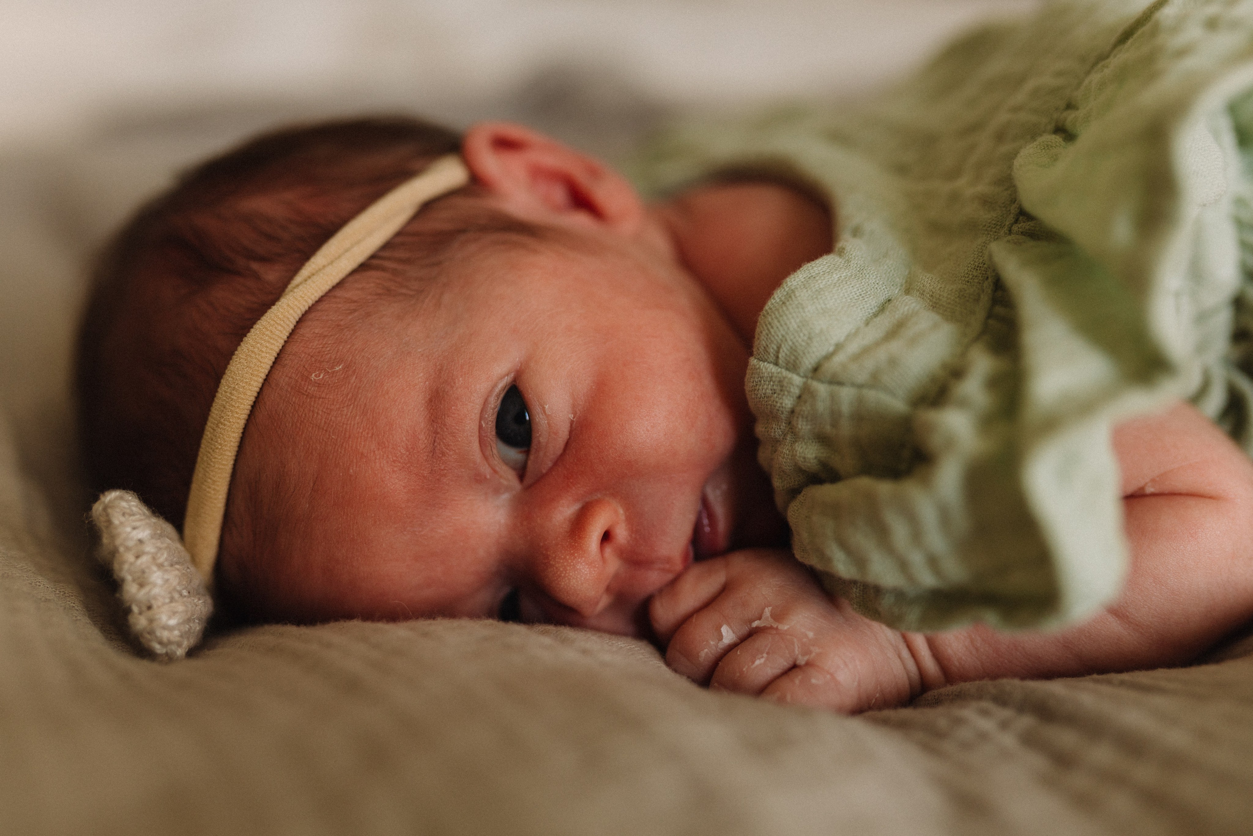 Агата. Семейный фотограф в Москве и Люберцах Юлия Гуськова