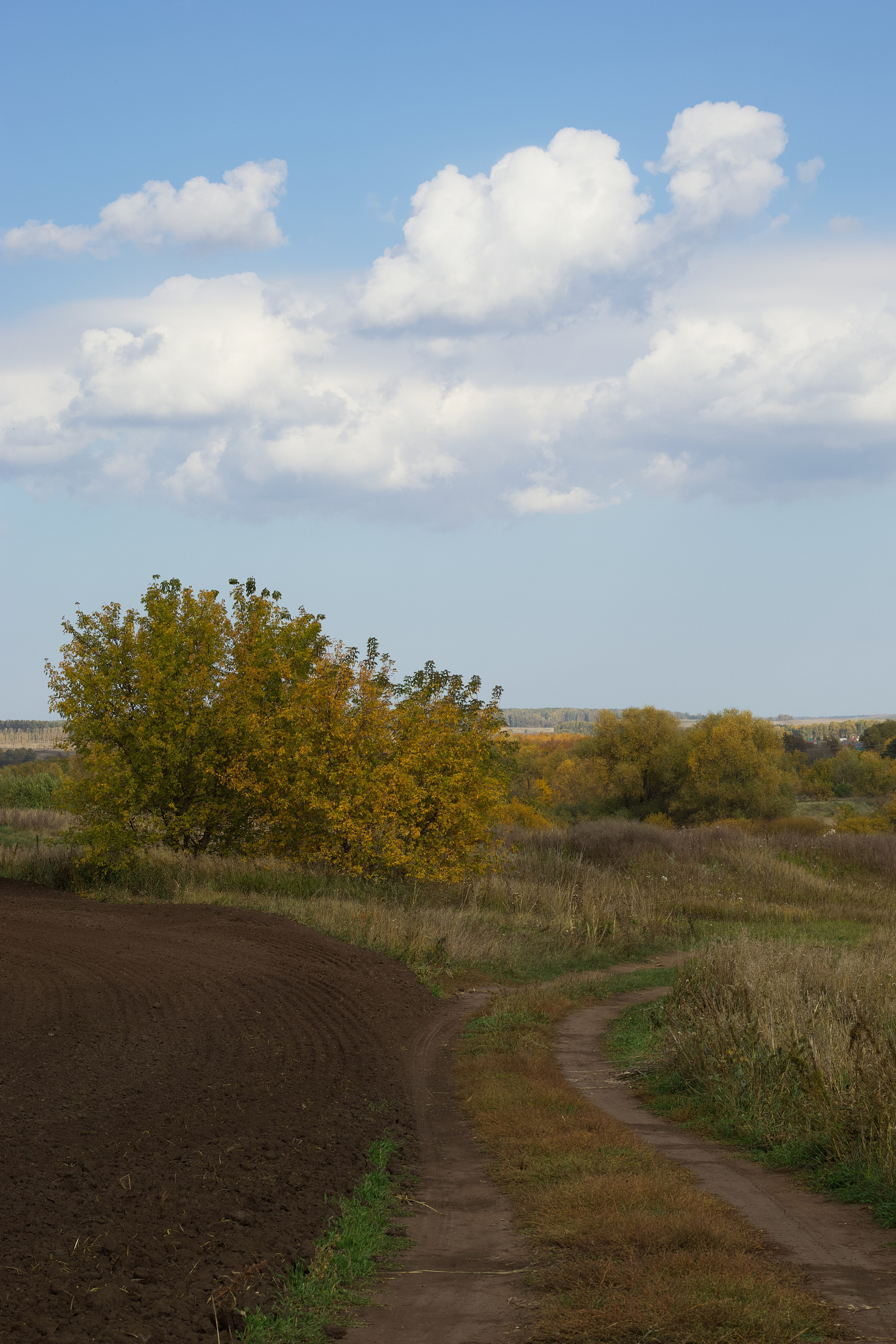 Пейзаж. Pupov.png