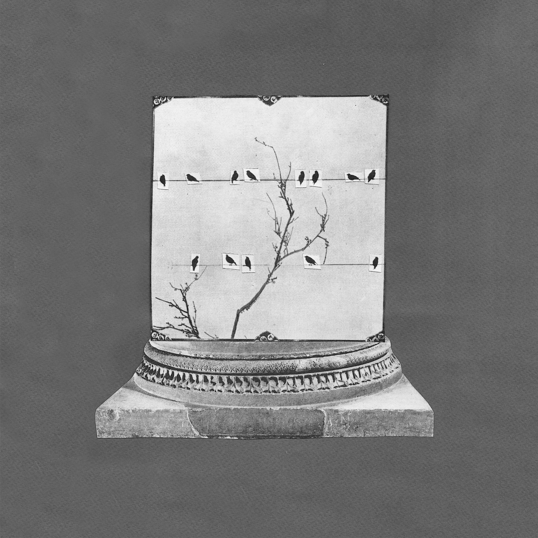 Мои работы. Фотограф и коллажист Ольга Шереметьева