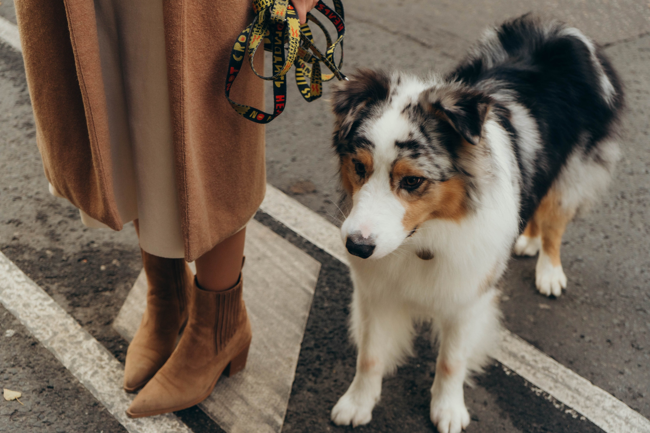 Аня, Влад и Джонни