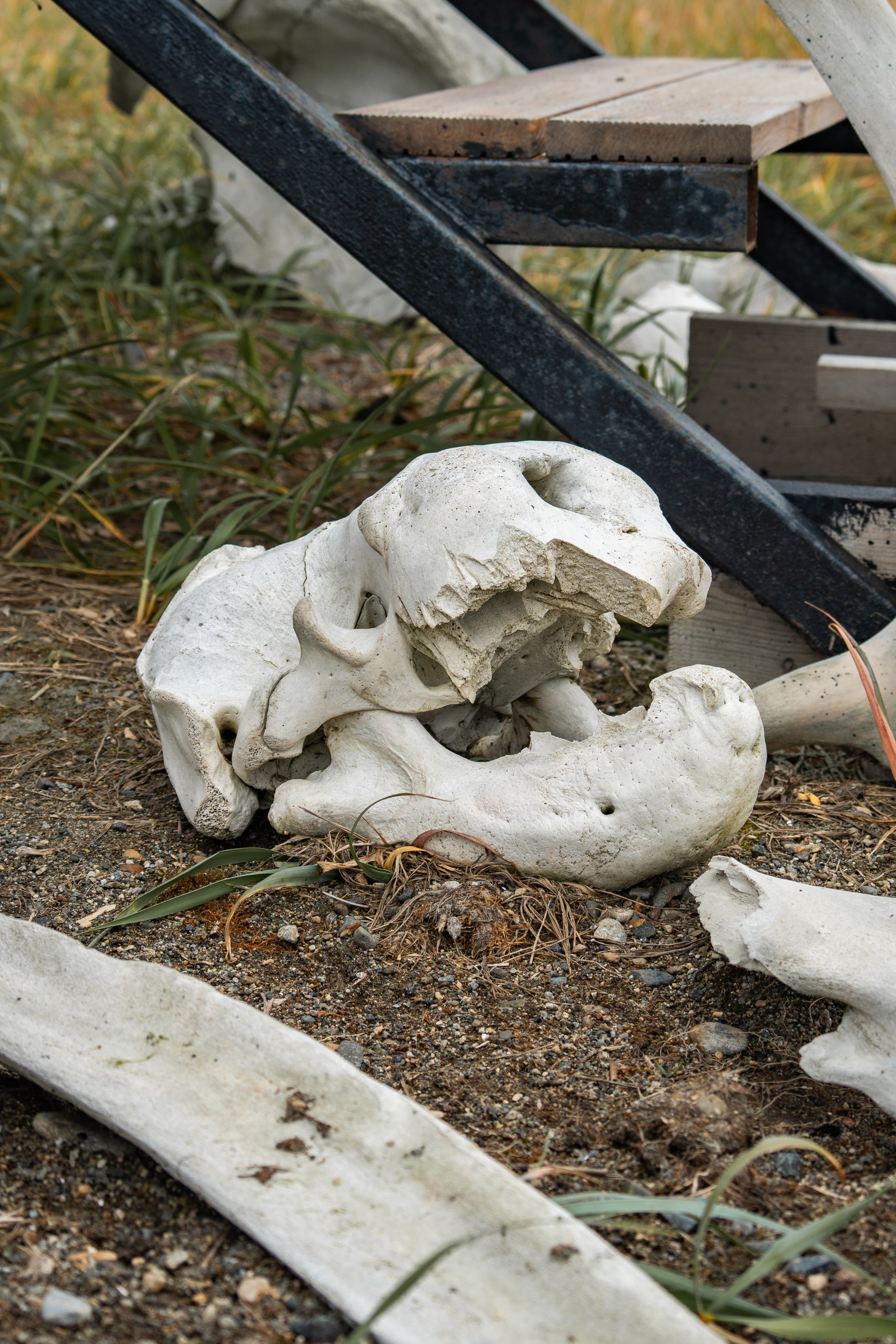 Чукотка. Gusarov Travel Photography