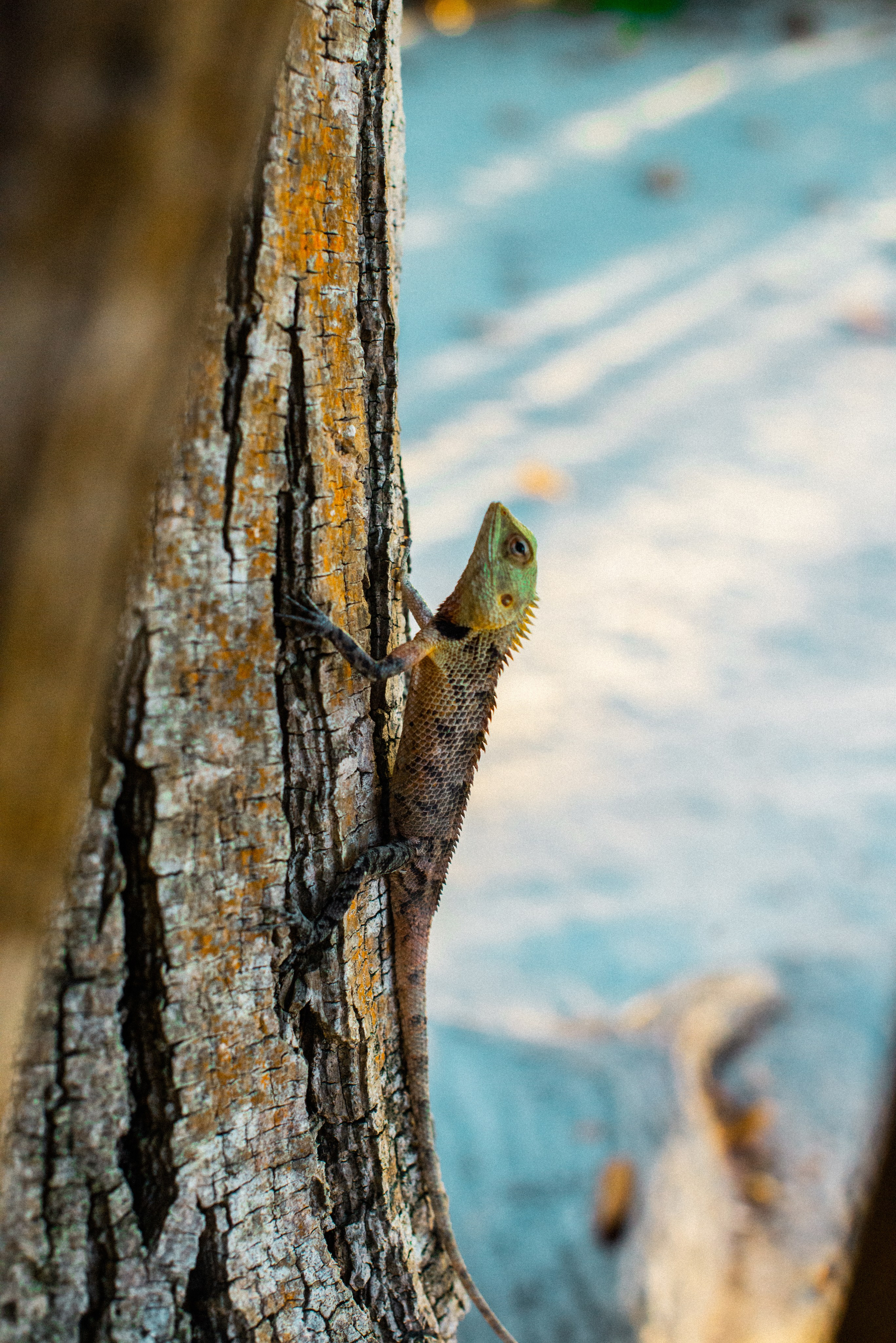 Мальдивы. Фотограф Алиса Аспер