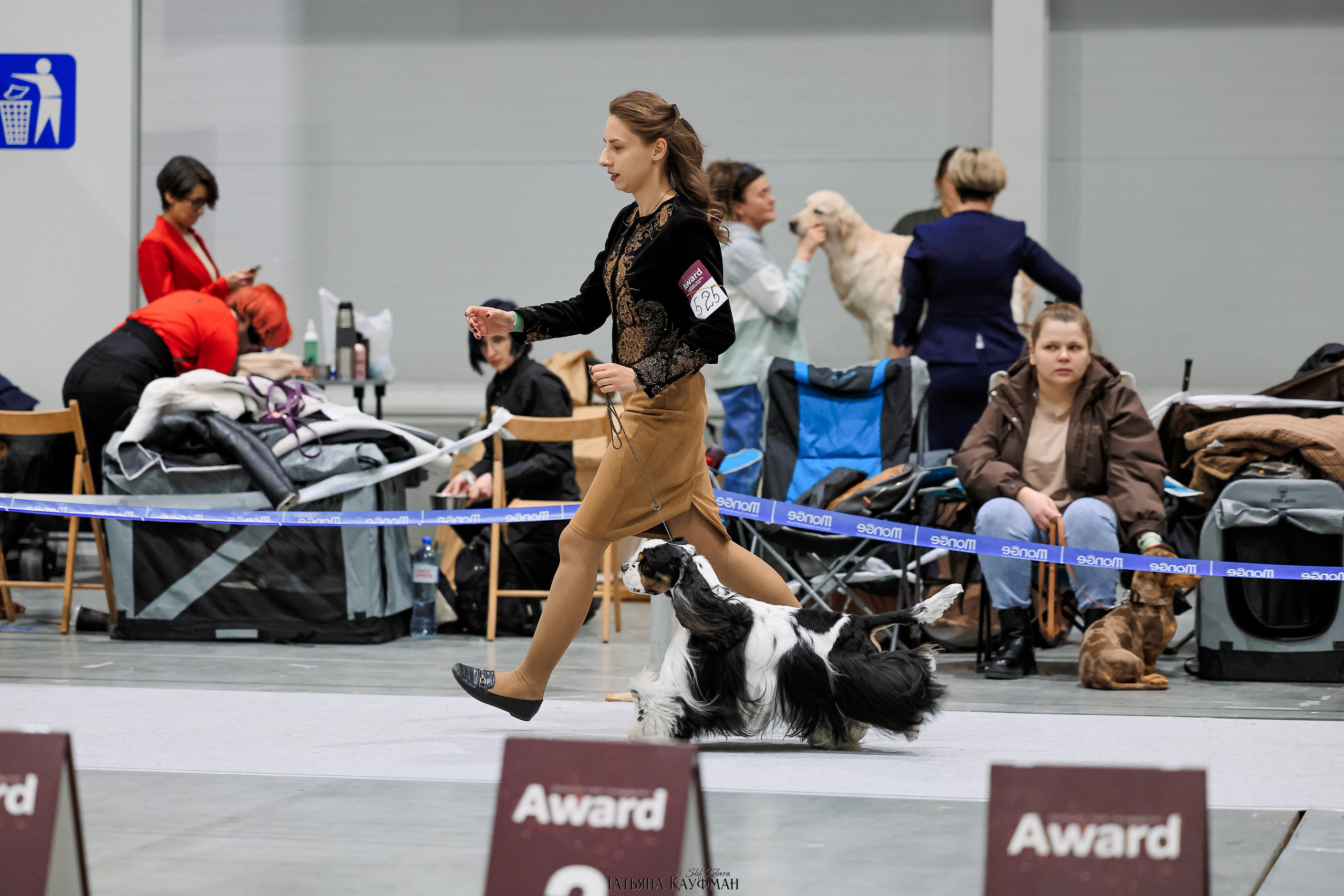 28-29.03.2026 Рейтинговая выставка в Новосибирске. Фотограф Анималист из Новосибирска Татьяна Кауфман