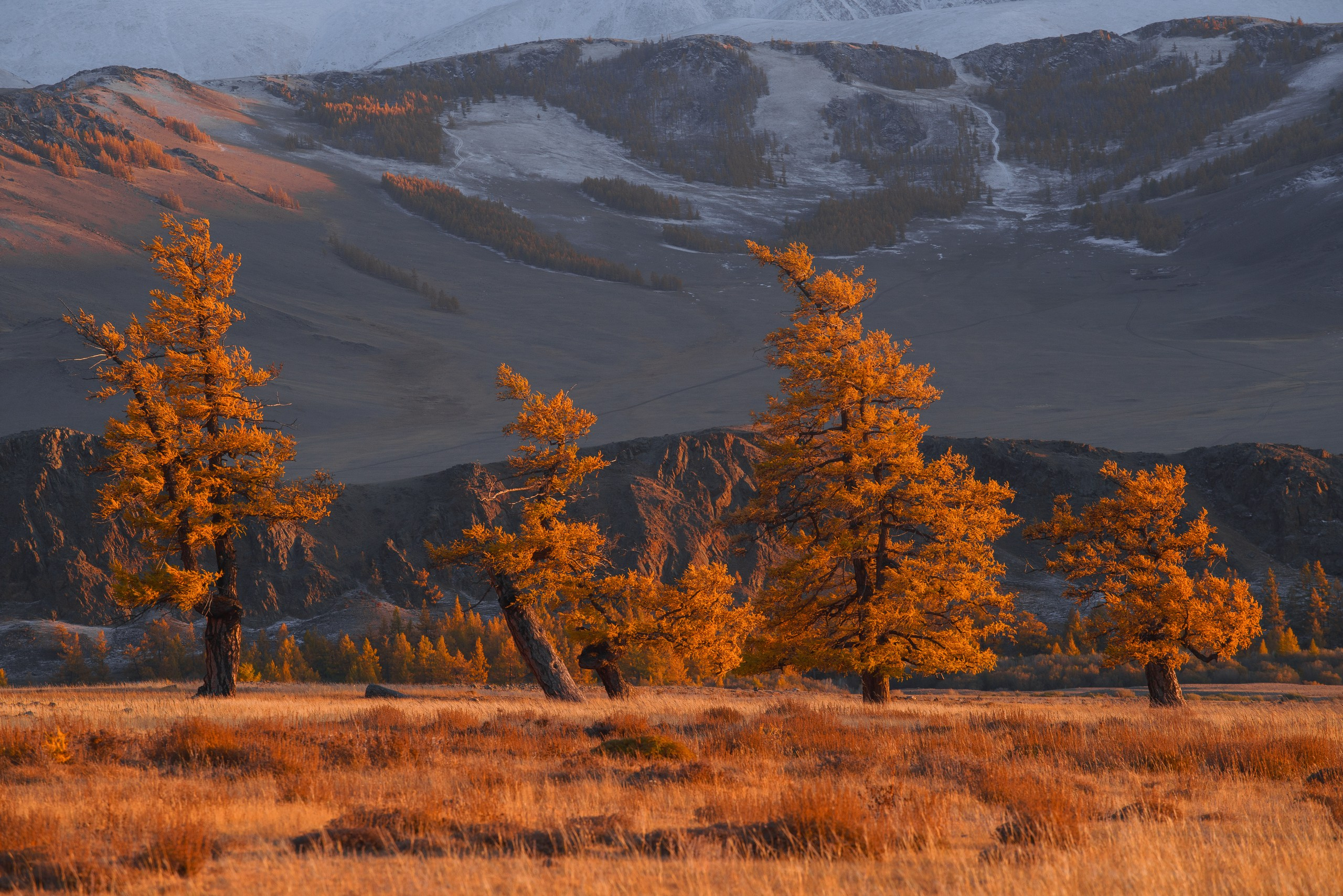 Тува. Фотограф в Красноярске Нерозя Александр. Пейзаж, природа, портрет