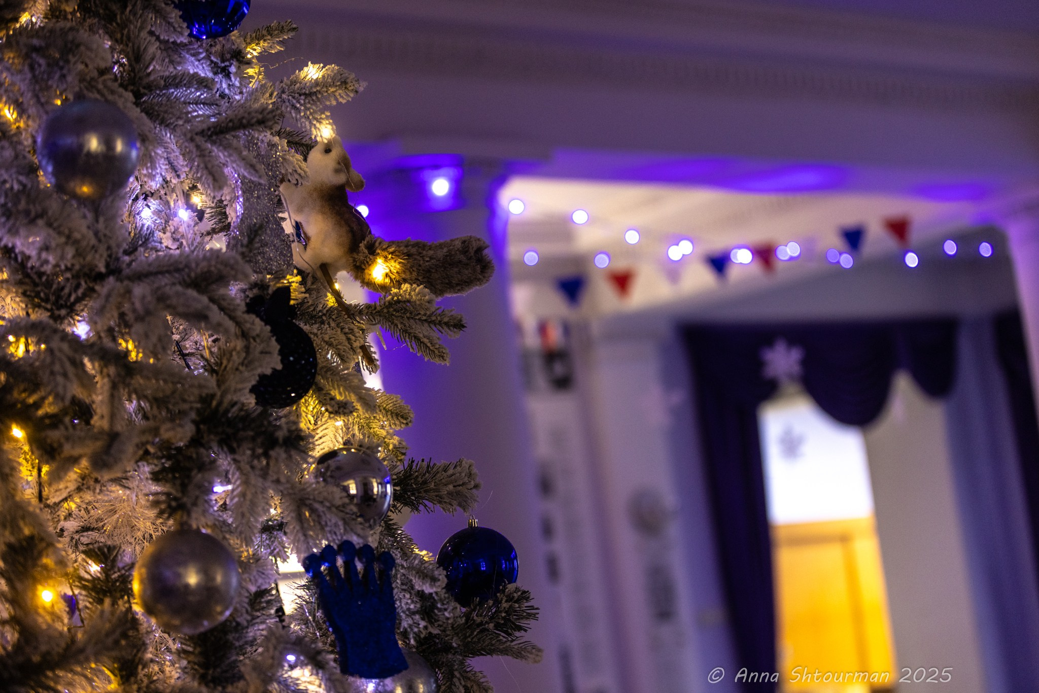 2025.01.12 Кубок Снегурочки — Церемония открытия. Фотограф Анна Штурман (репортажная съёмка любых событий и мероприятий) Anna Shtourman photographer