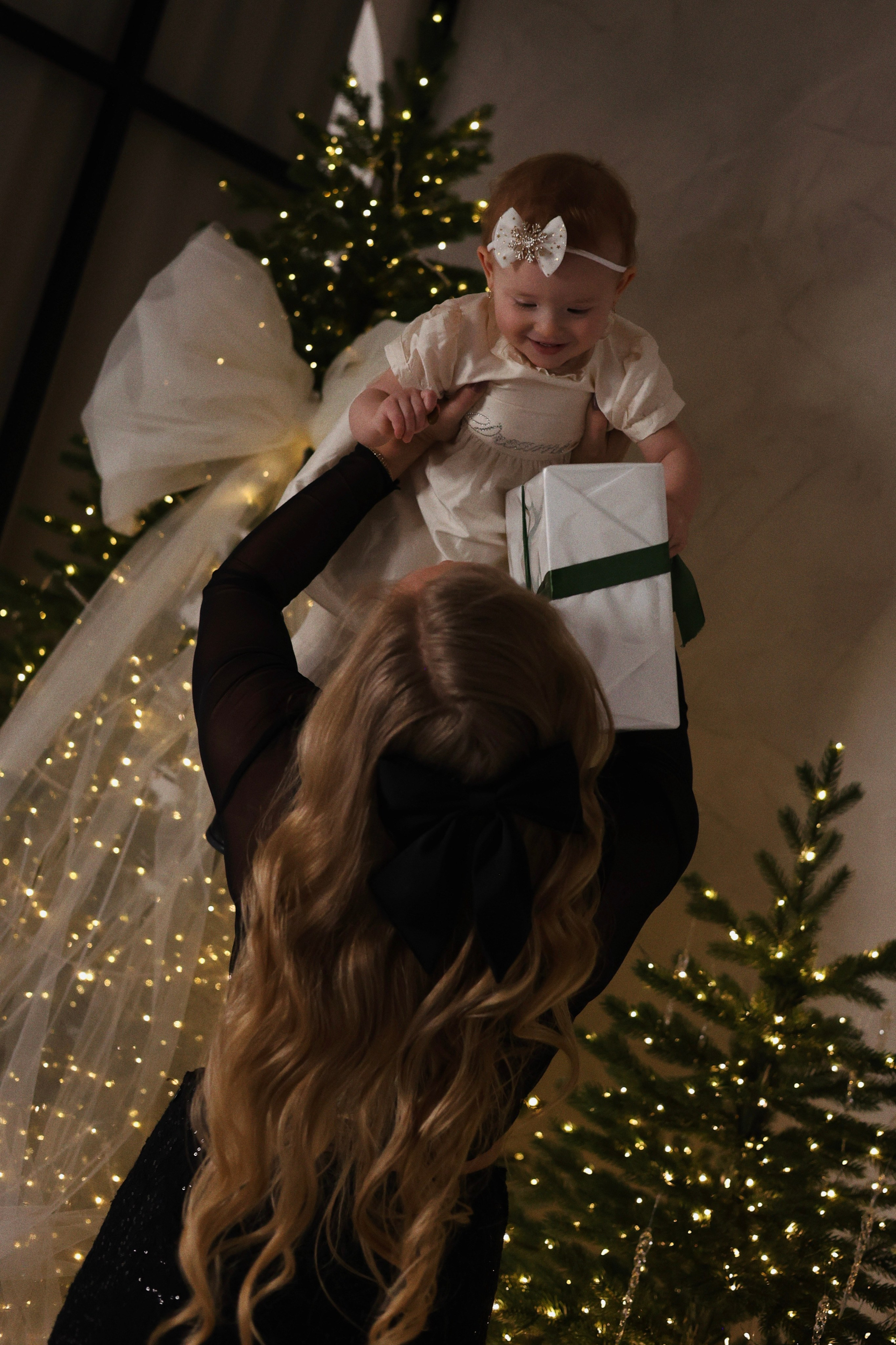 Новогодняя семейная. Главная