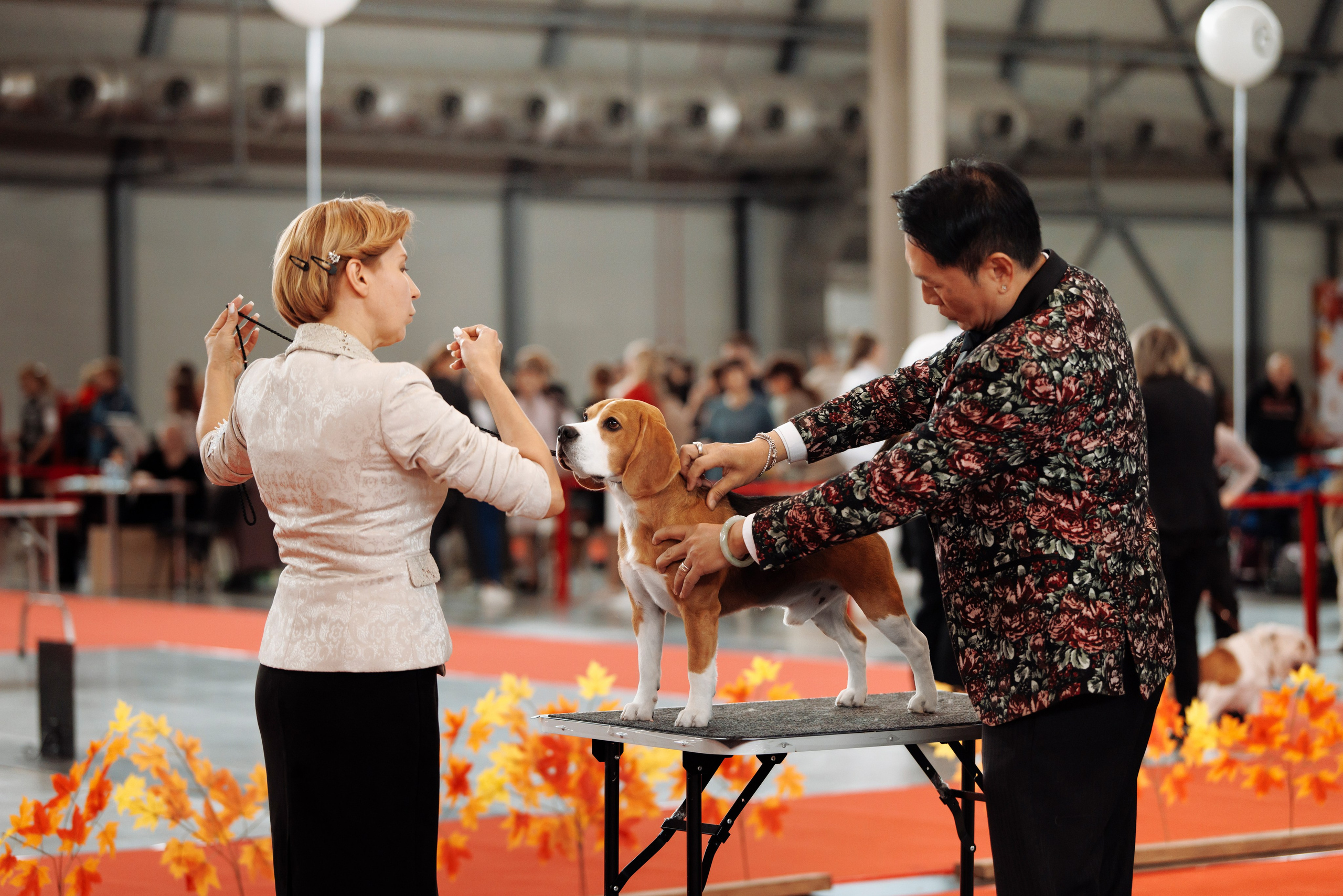 18/19.10.2025 — Екатеринбург. Фотограф-анималист Саша Вязьмина